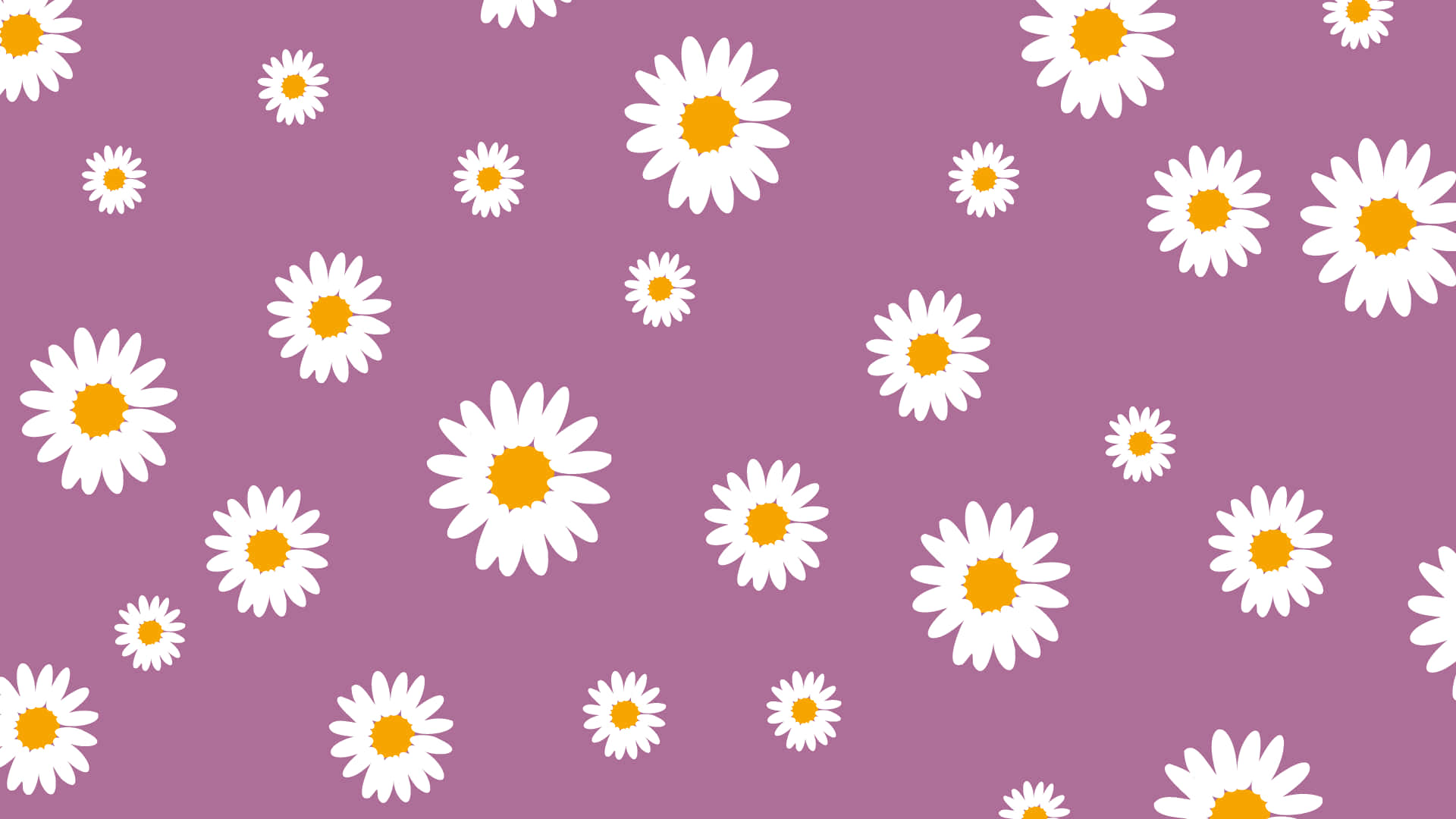 Small Daisies Covering A Pretty Purple Surface Background