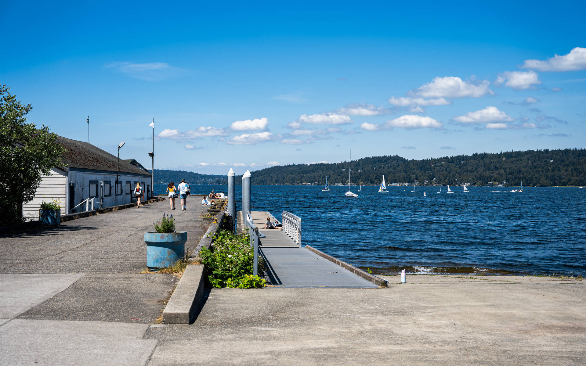 Small Dock Seattle 4k Background