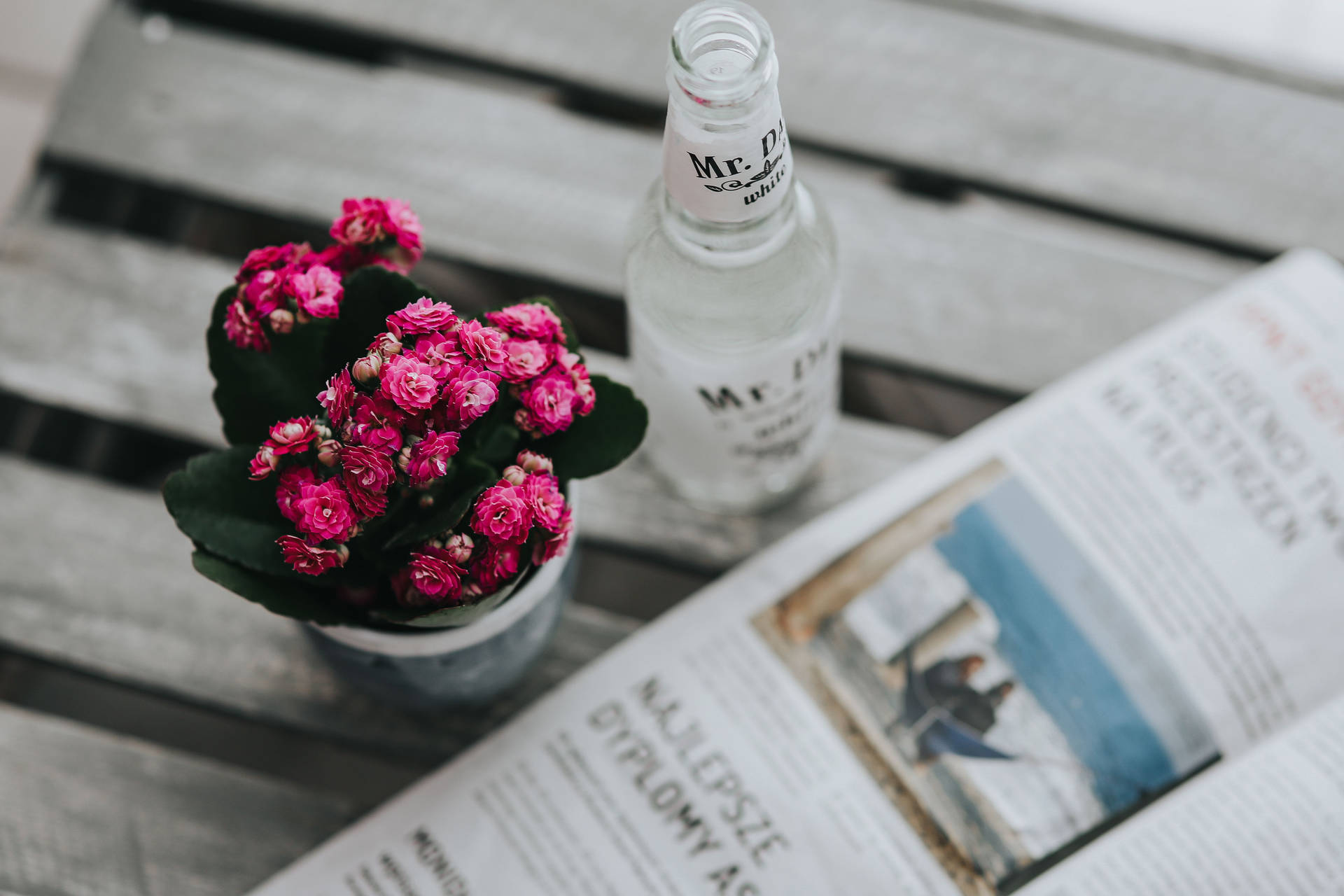 Small Flowerpot Newspaper Table Background