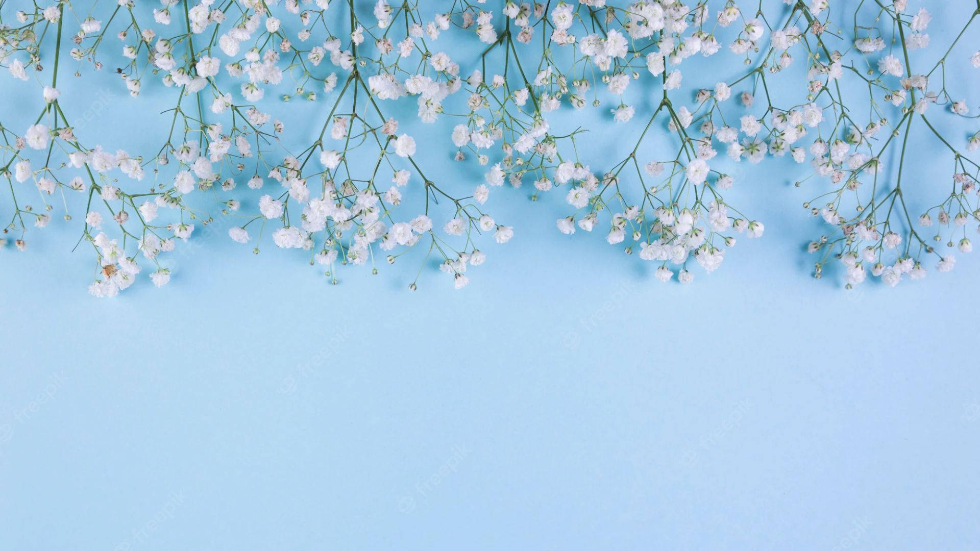 Small Flowers On Baby Blue Background