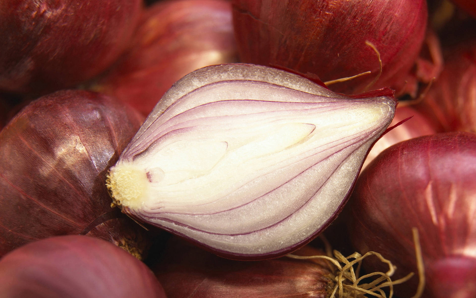 Small Half Red Onion Vegetable Background