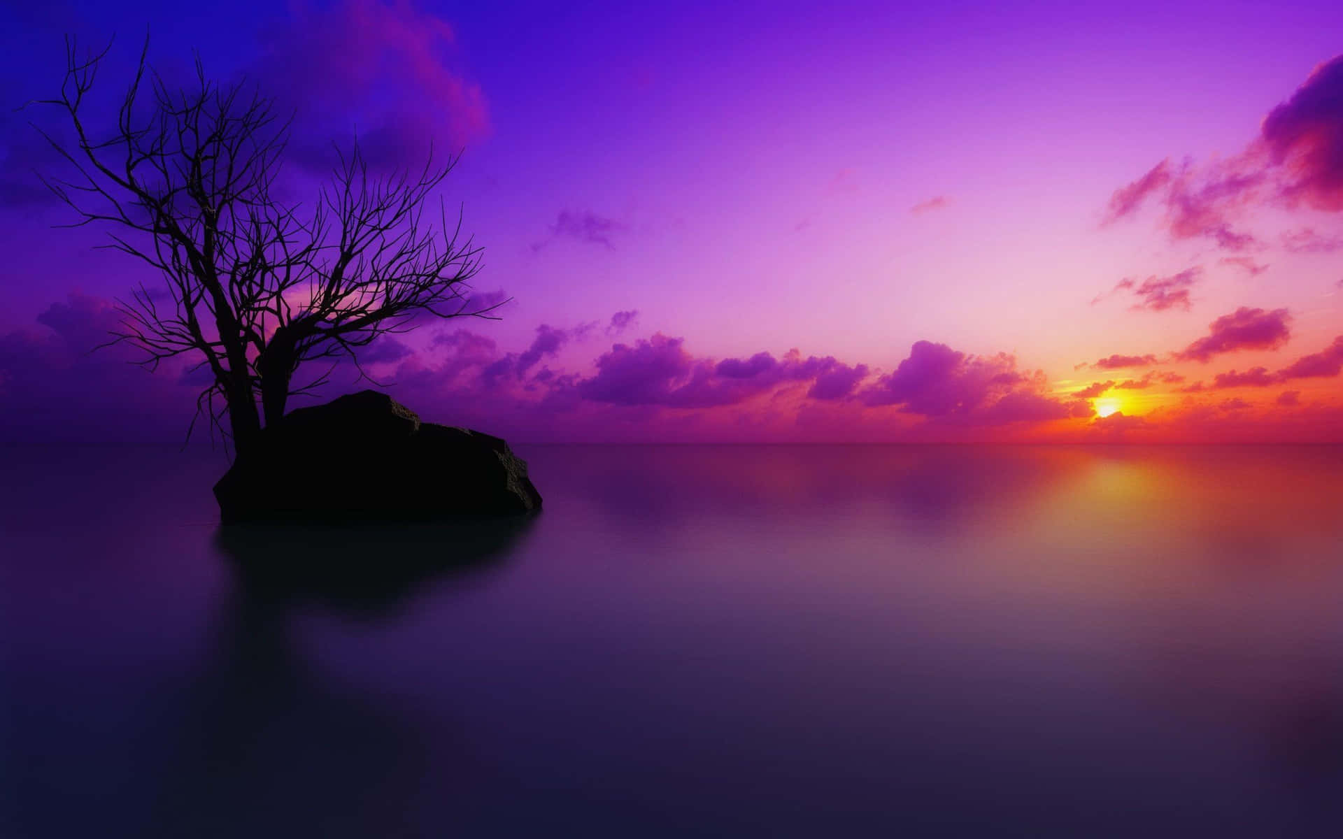 Small Island Beach Indigo Sunset Background