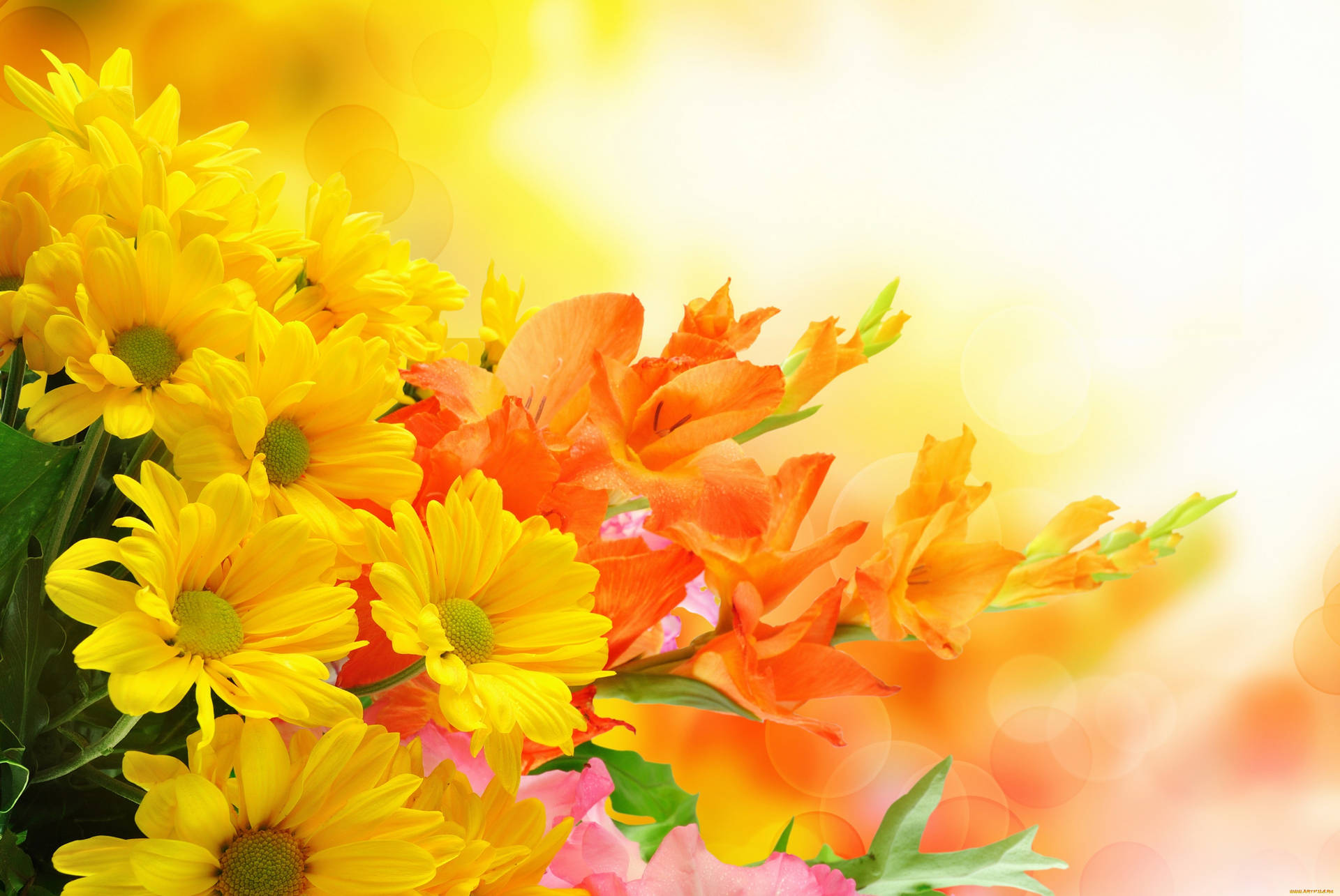 Small Orange And Yellow Flowers Background