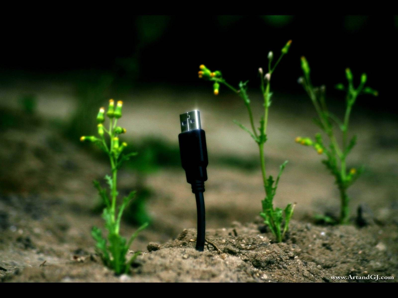 Small Plant With Usb