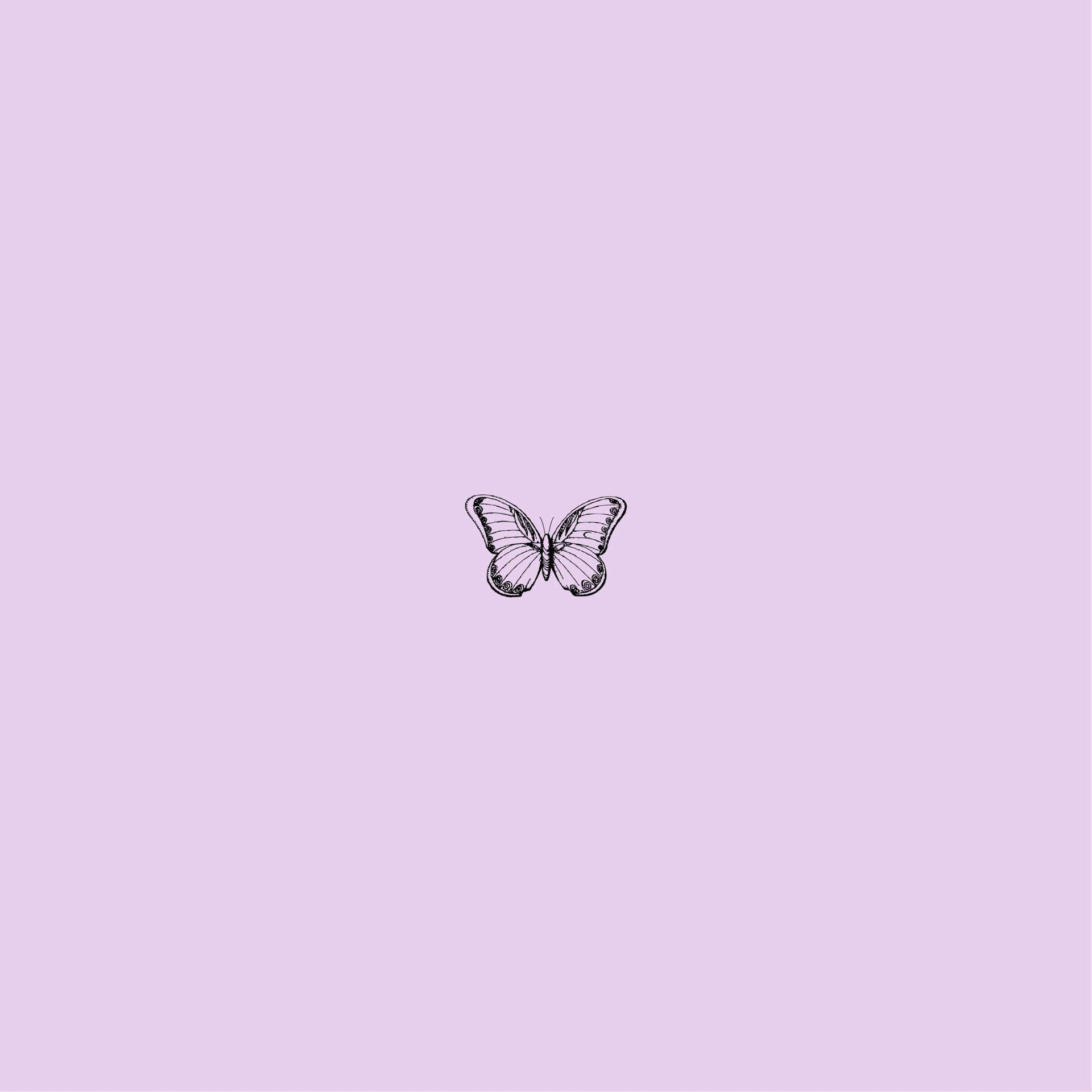 Small Purple Butterfly Phone Background Background