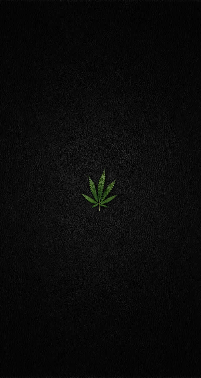 Small Scaled Cannabis Leaf Background