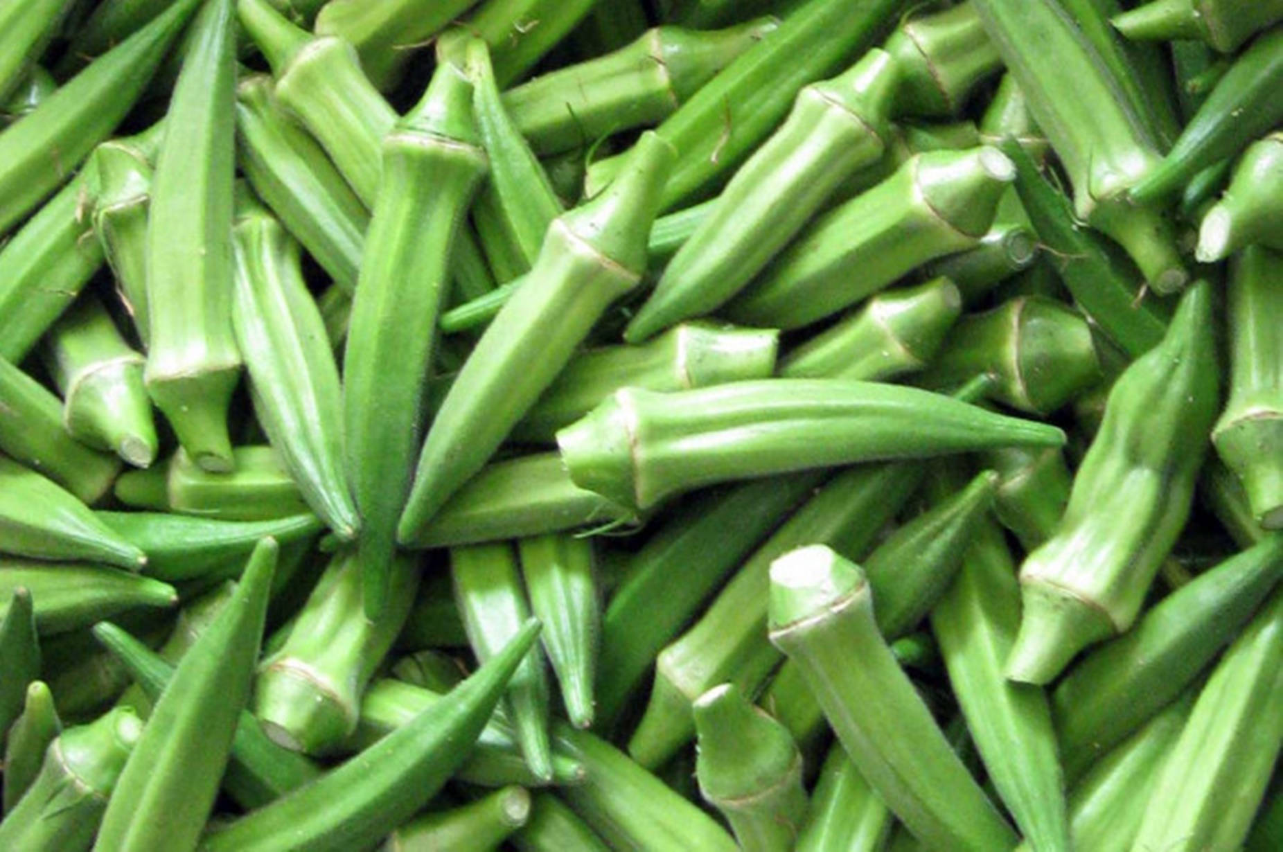 Small-sized Green Okra Background