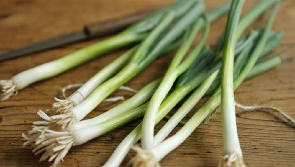 Small Spring Onion Scallions With Brown Knife