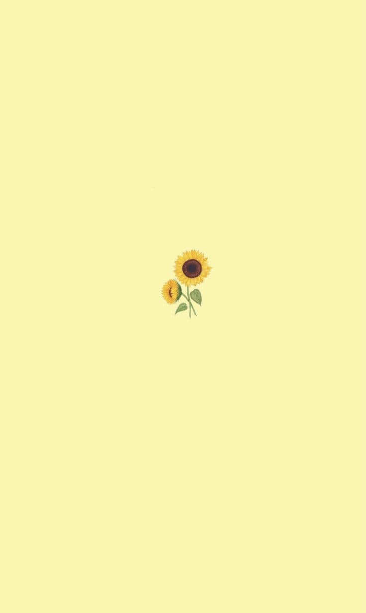 Small Sunflower Cute Pastel Yellow Background Background