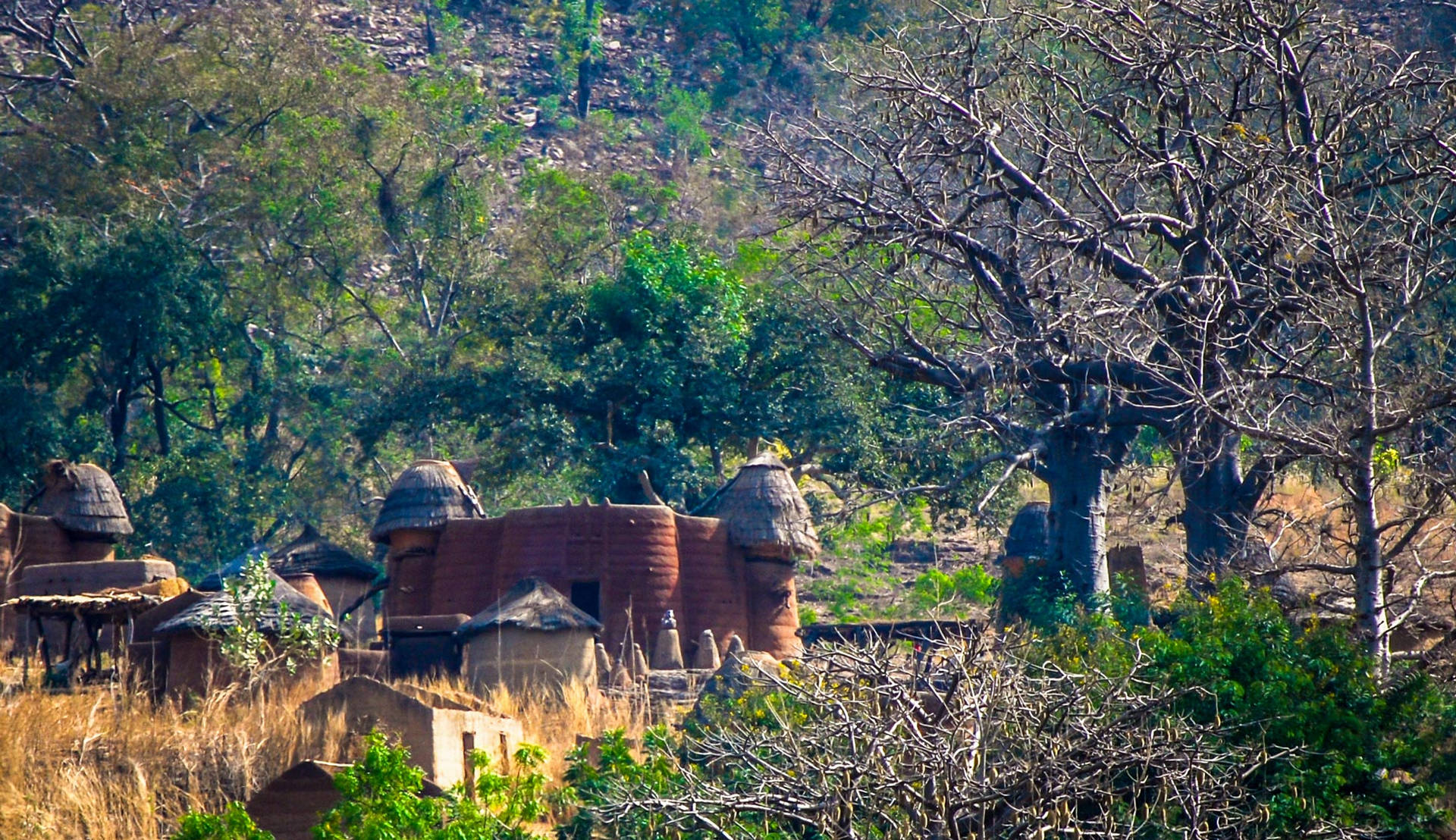 Small Village Togo