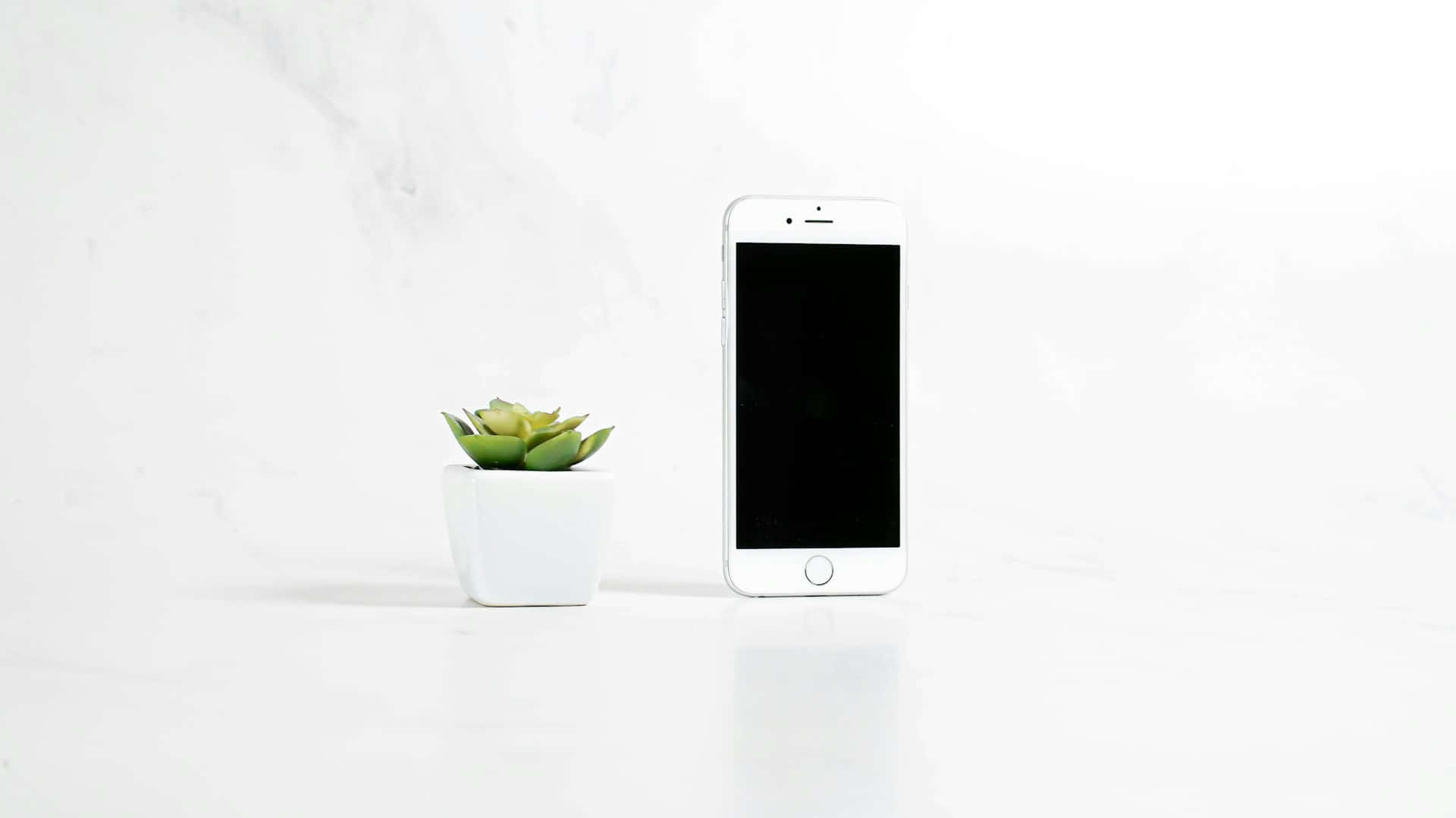 Smartphoneand Succulent Mockup Background