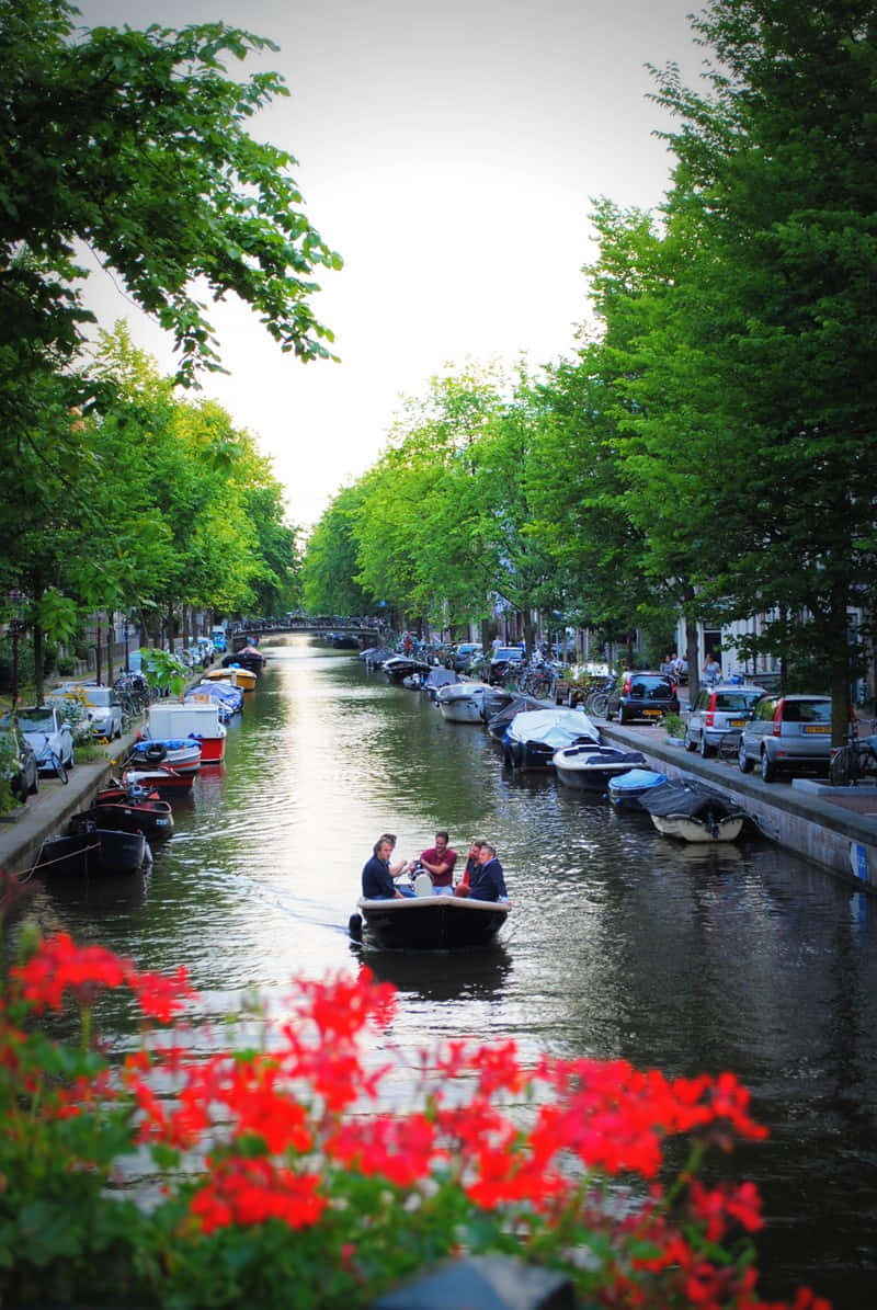 Smell The Floral Aroma Of Amsterdam In Spring Background