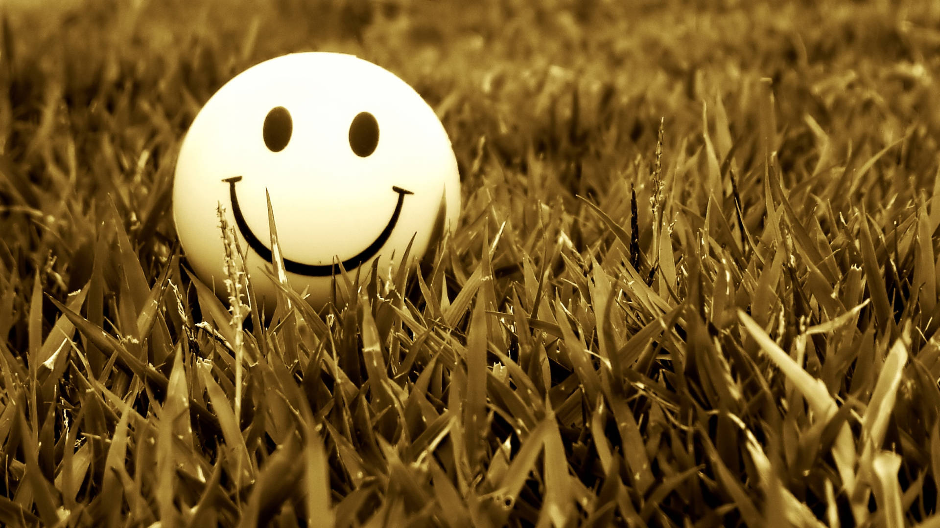 Smile Ball On The Grass