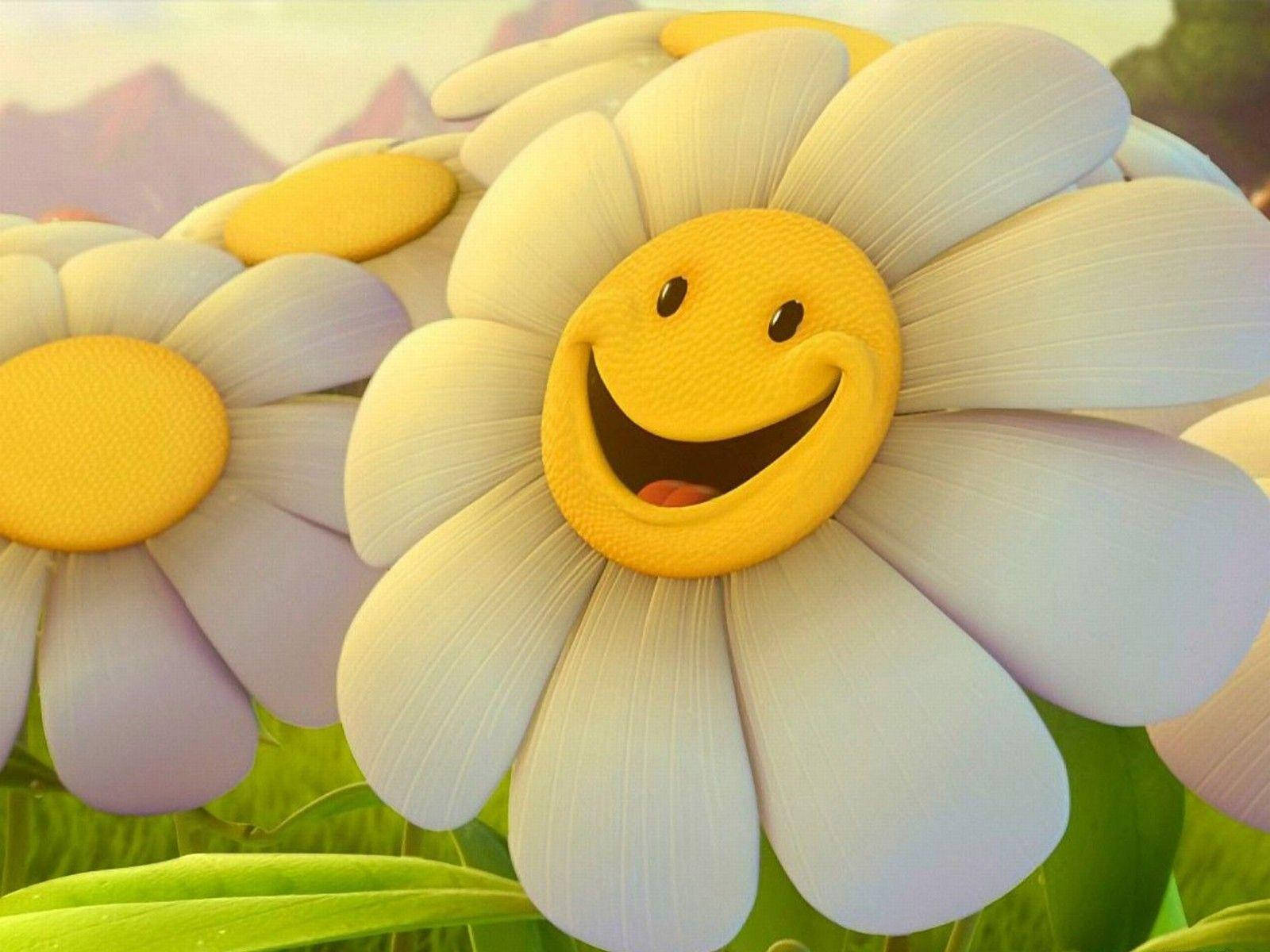 Smiley Face White Flower Background