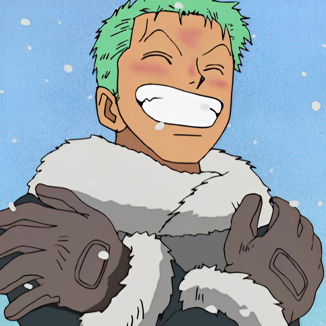 Smiling Anime Zoro Pfp In Snow Background