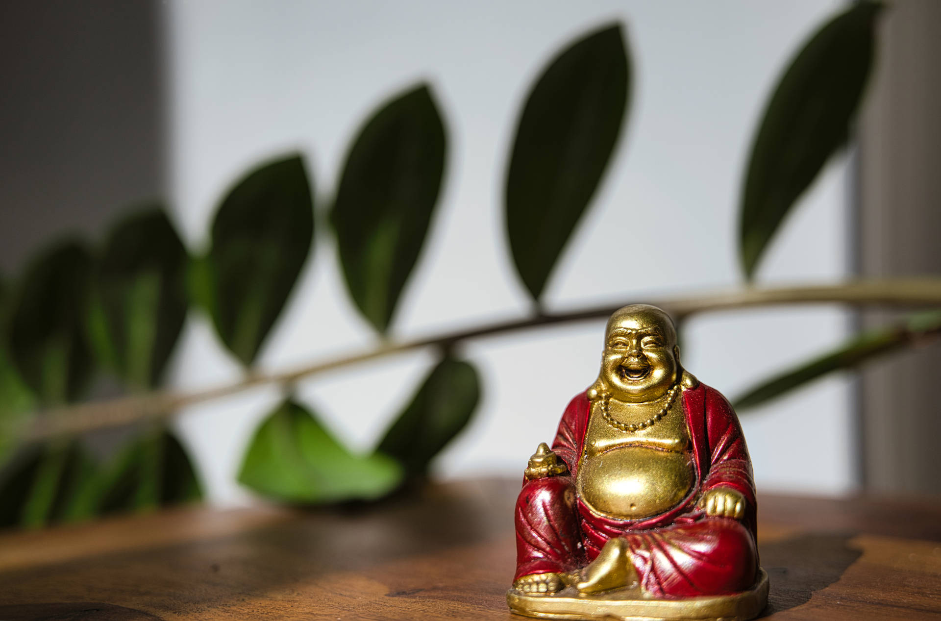 Smiling Buddha Hd Background