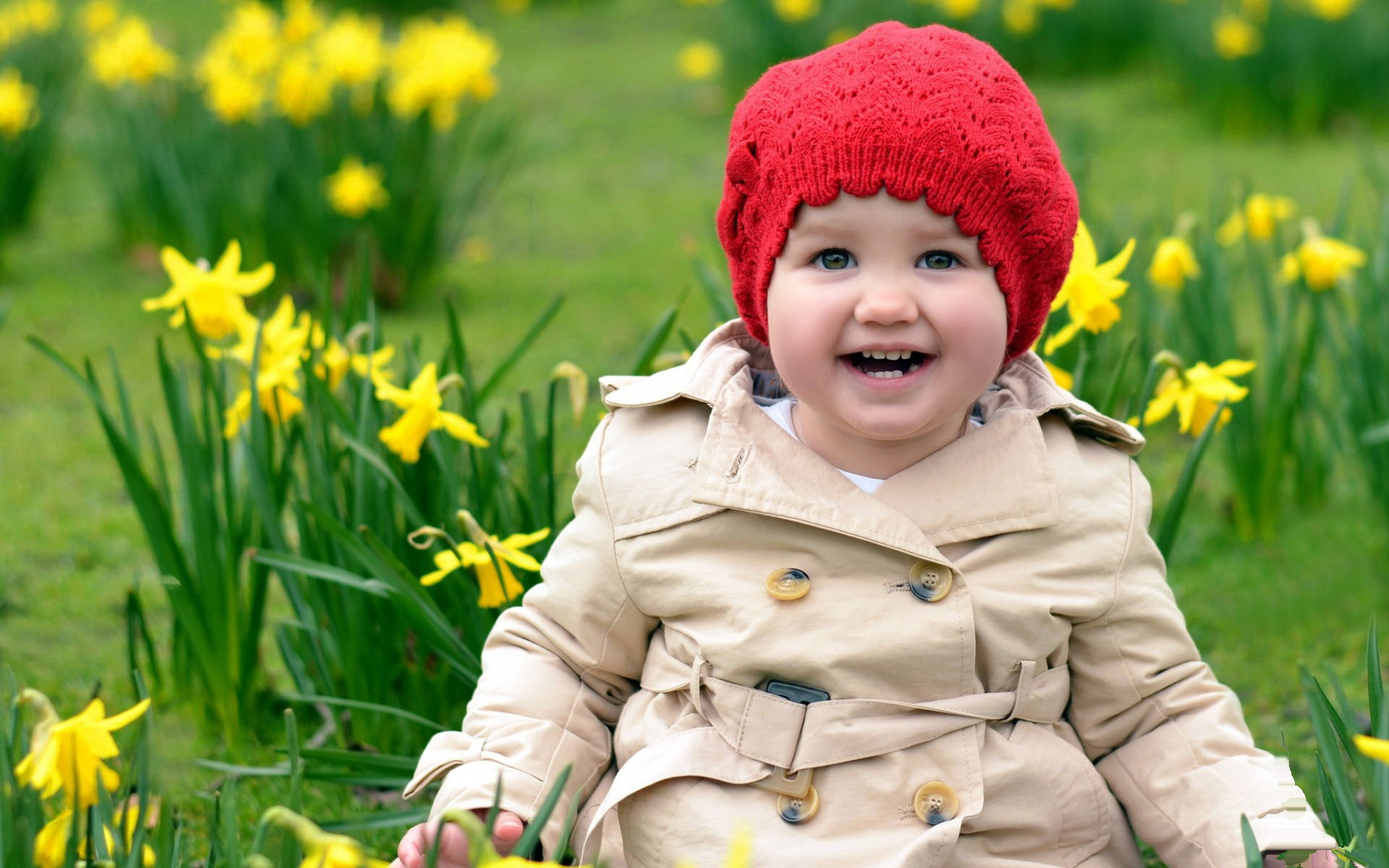 Smiling Child And Daffodil Flowers Background