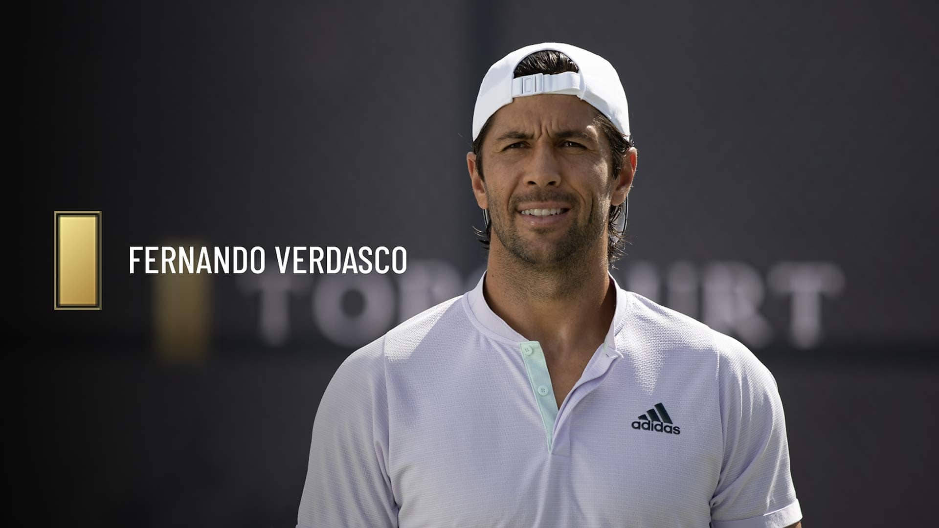 Smiling Fernando Verdasco Official Background