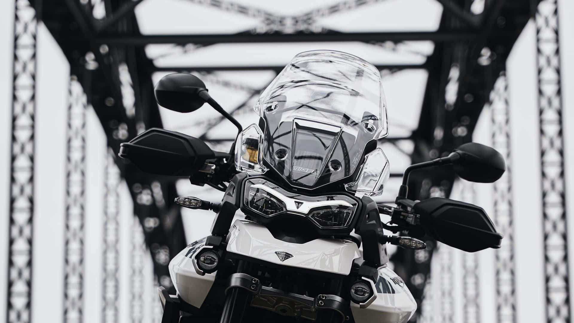 Smiling Friends Riding On Beach Cruisers Background