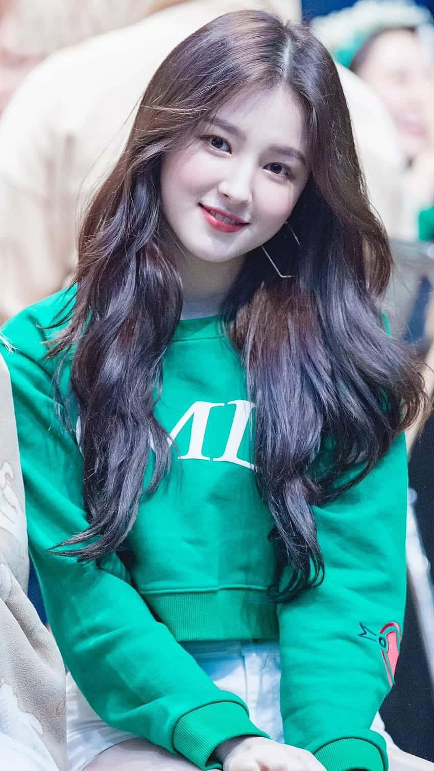 Smiling Womanin Green Sweater.jpg Background