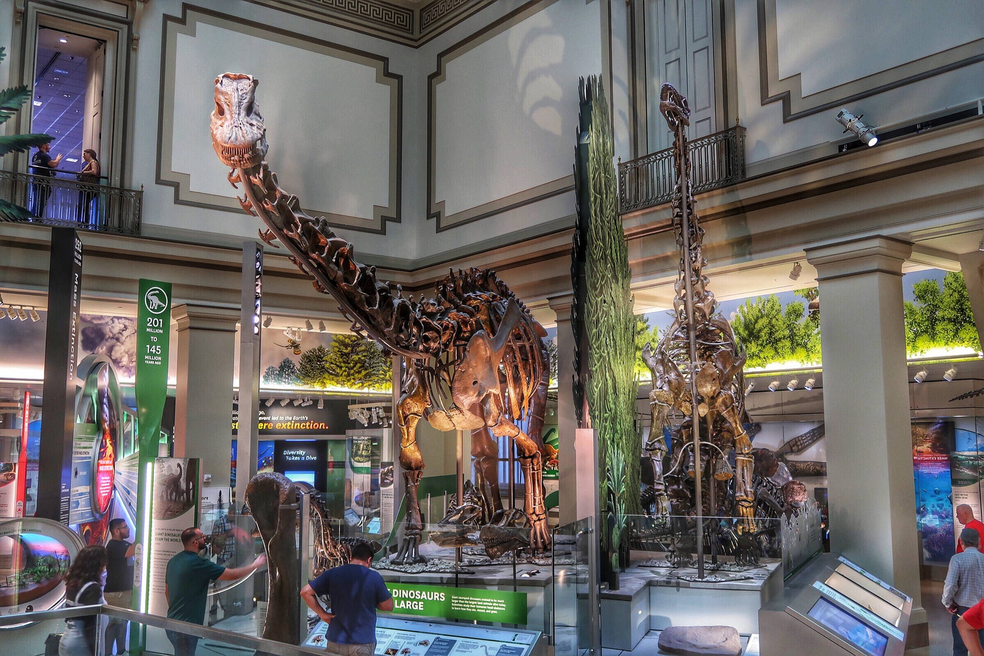 Smithsonian Dinosaur Skeleton