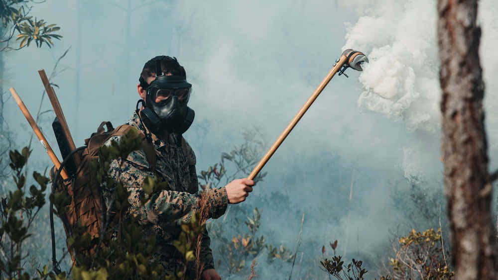 Smoke Management Fire Control Background