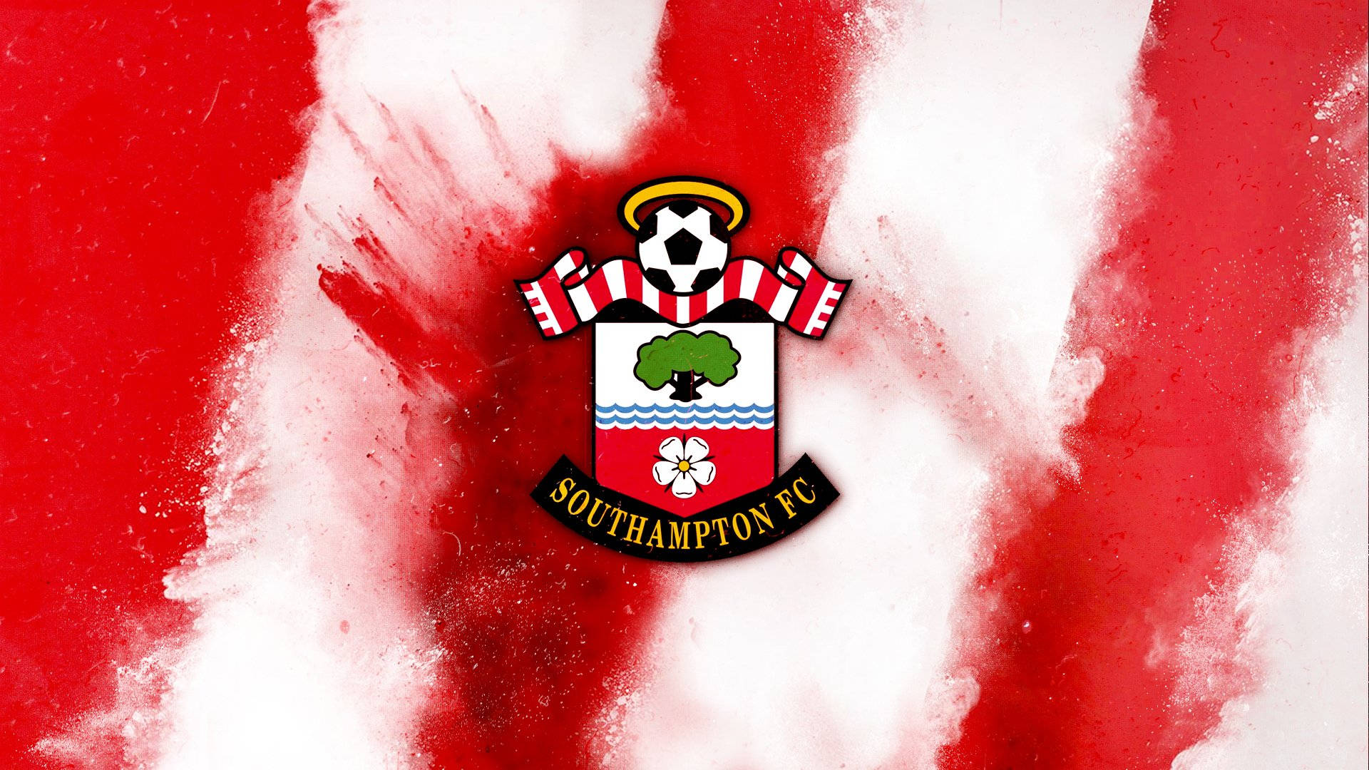 Smokey Southampton Fc Logo Background