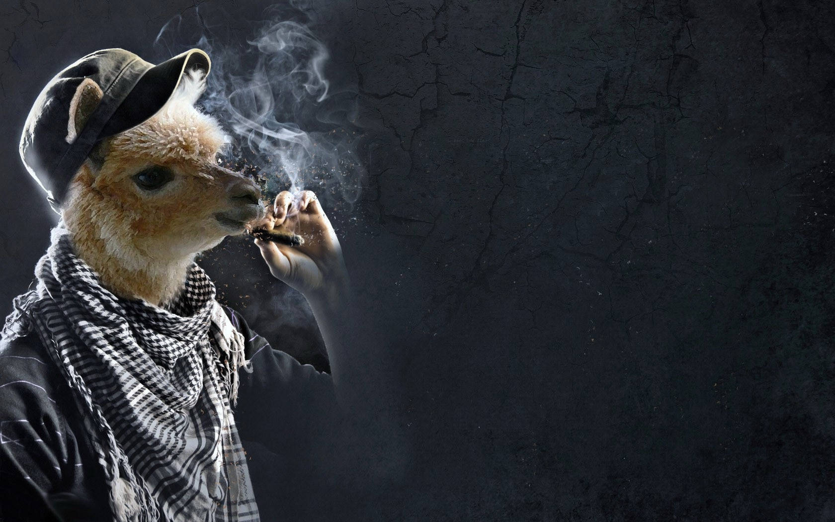 Smoking Llama Background