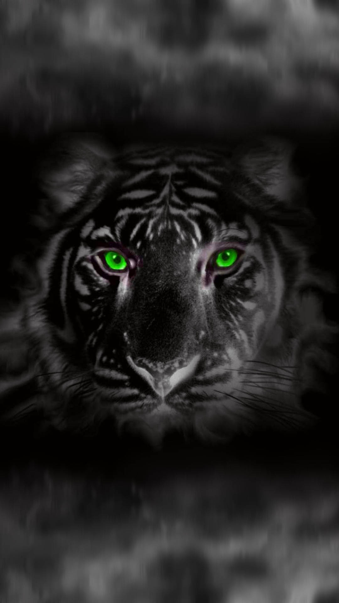 Smoky Black Tiger Background