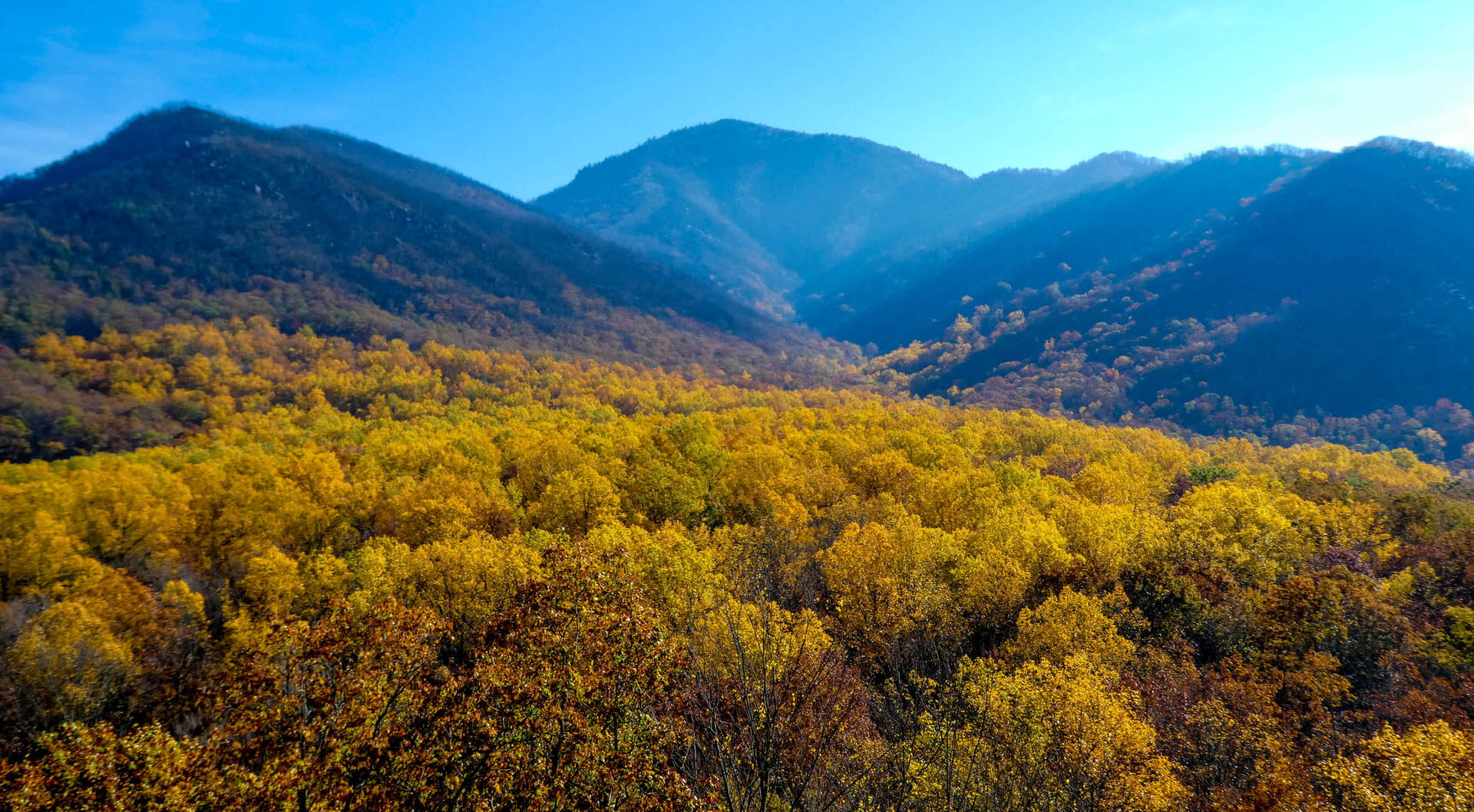 Smoky Mountains With Fall Trees Background