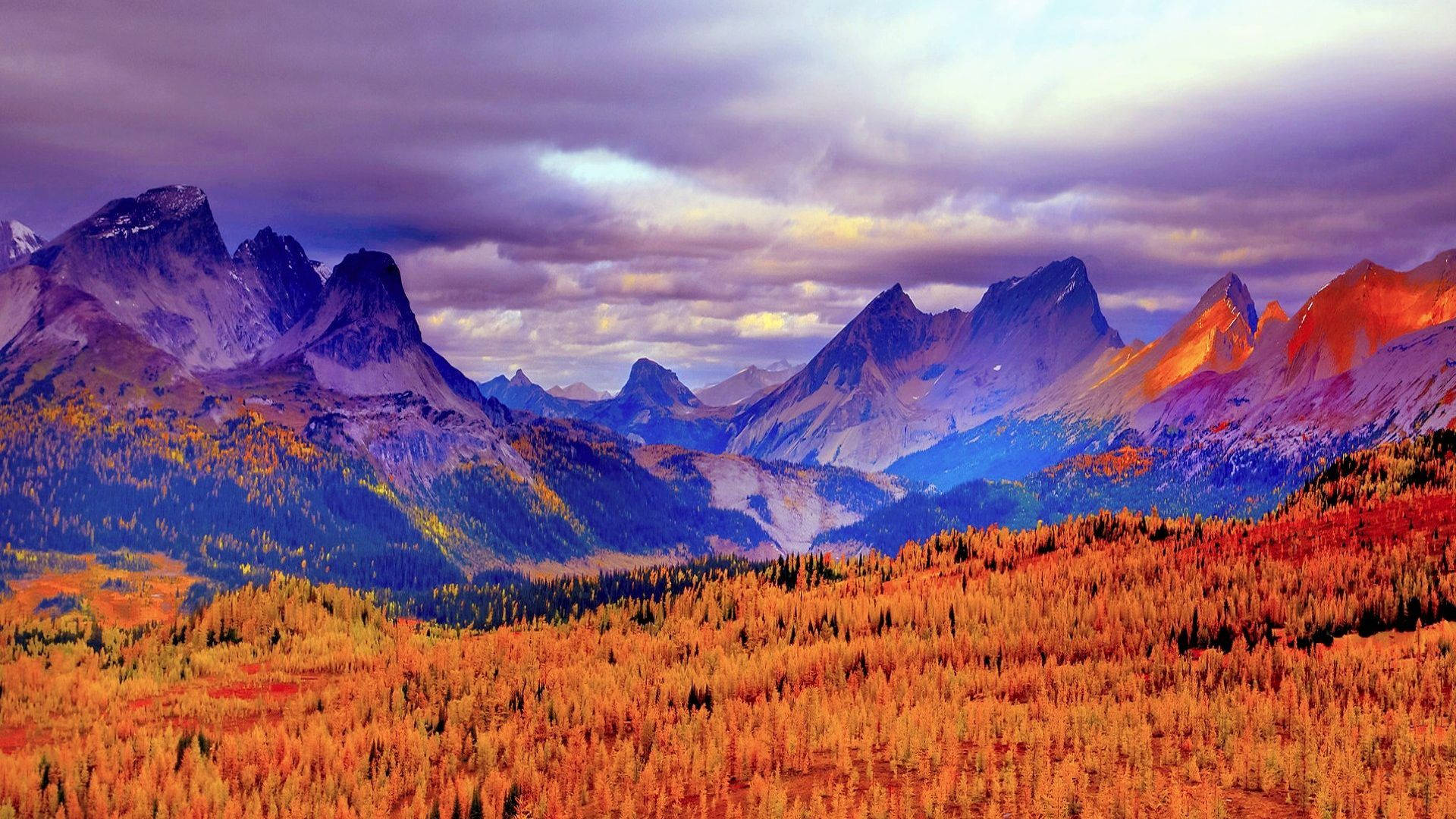 Smoky Mountains With Orange Forest Background