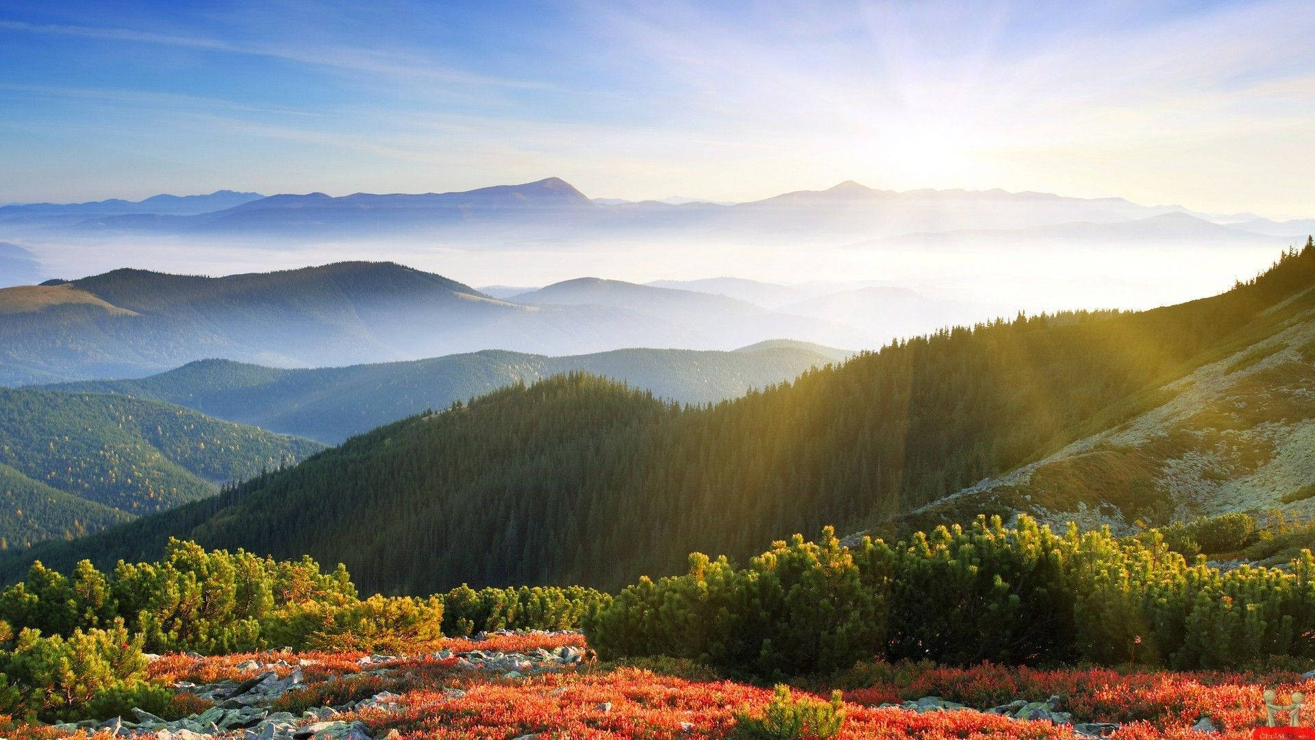 Smoky Mountains With Soft Sunlight Background