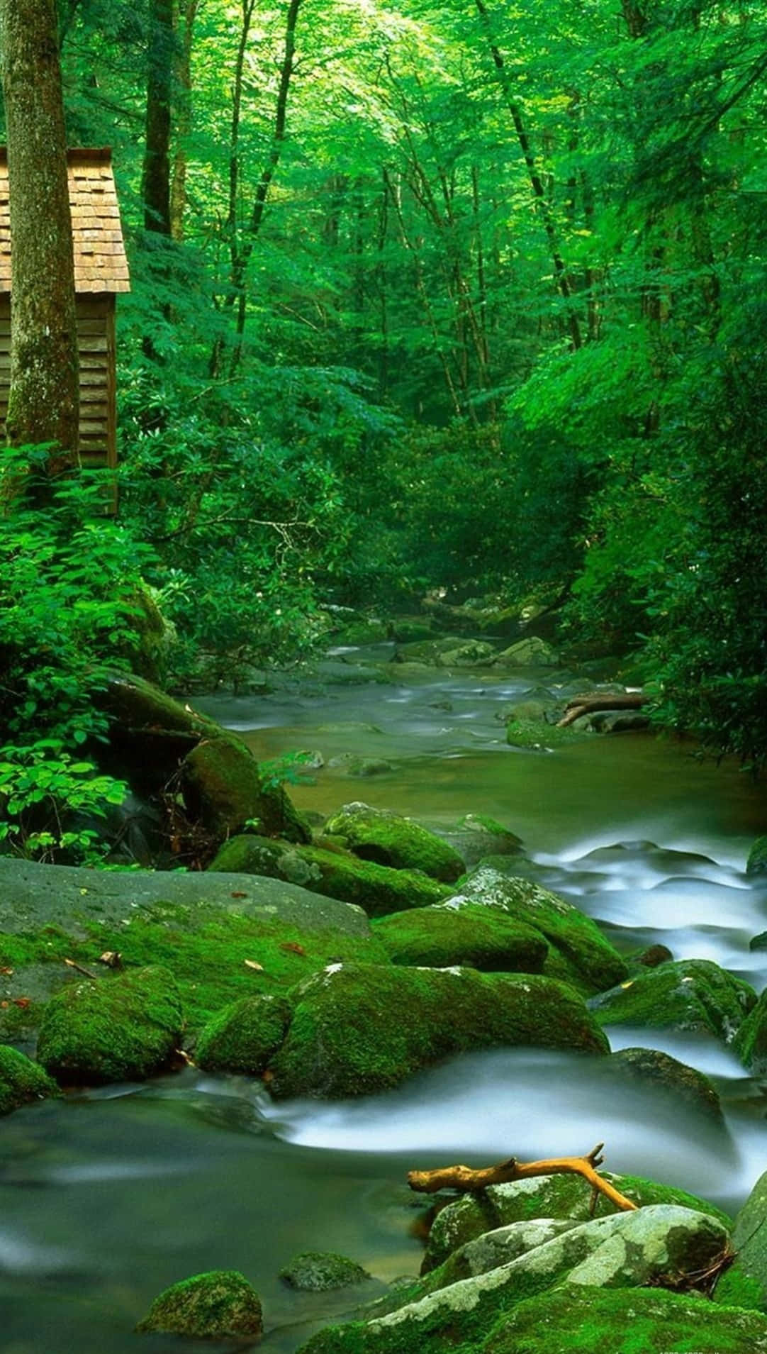 Smoky Stream For Android Nature Background