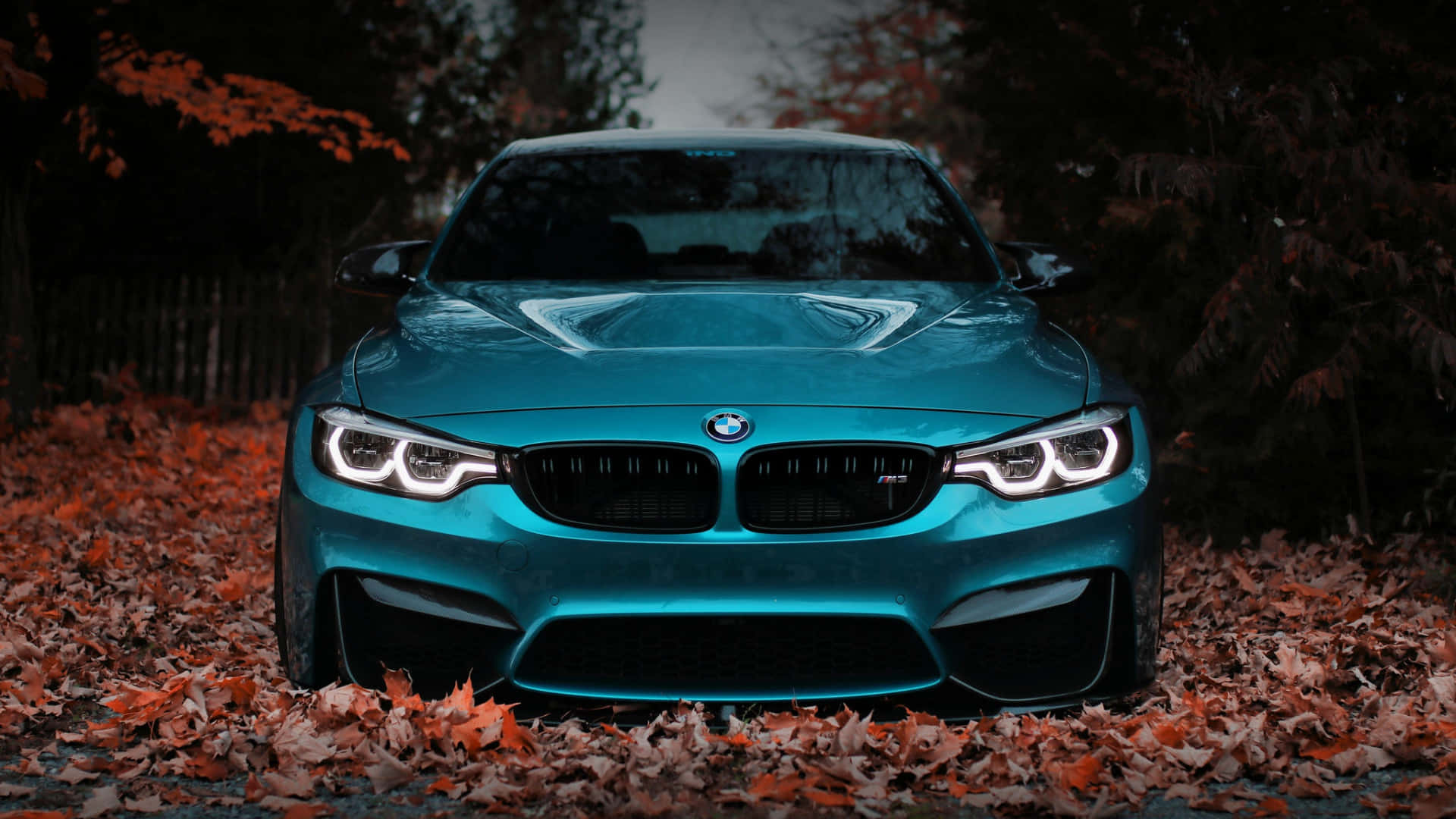 Smooth, Unique And Contemporary Bmw Background