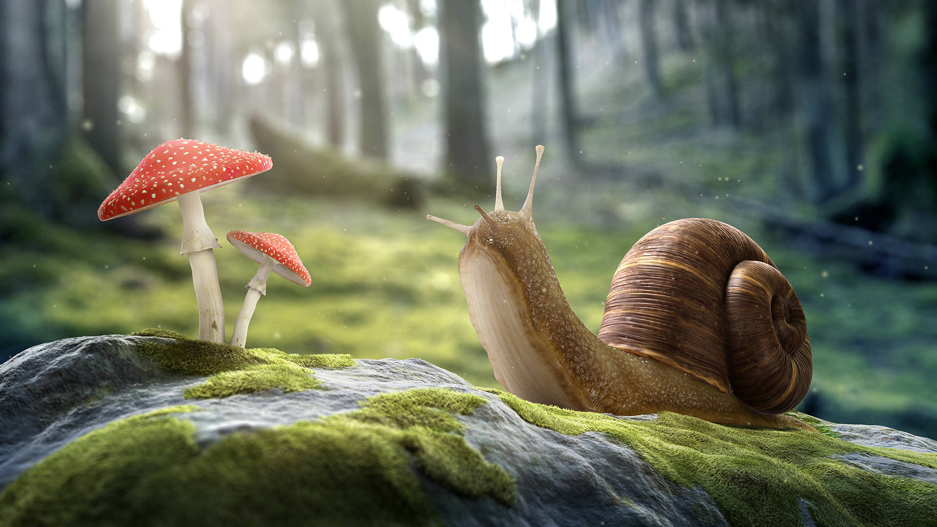 Snail Mushroom Shelter Background