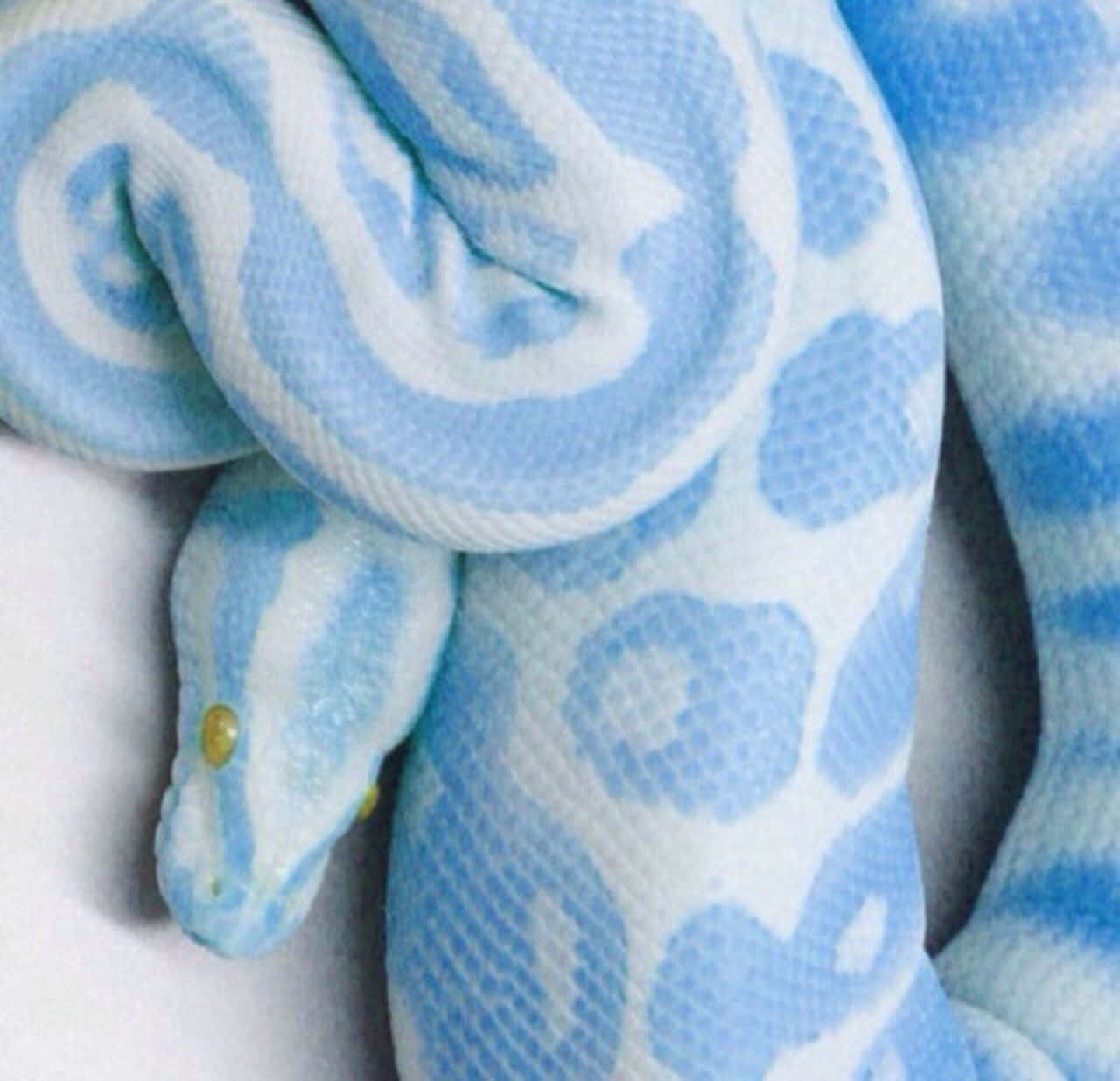 Snake In Pastel Blue Aesthetic Tumblr