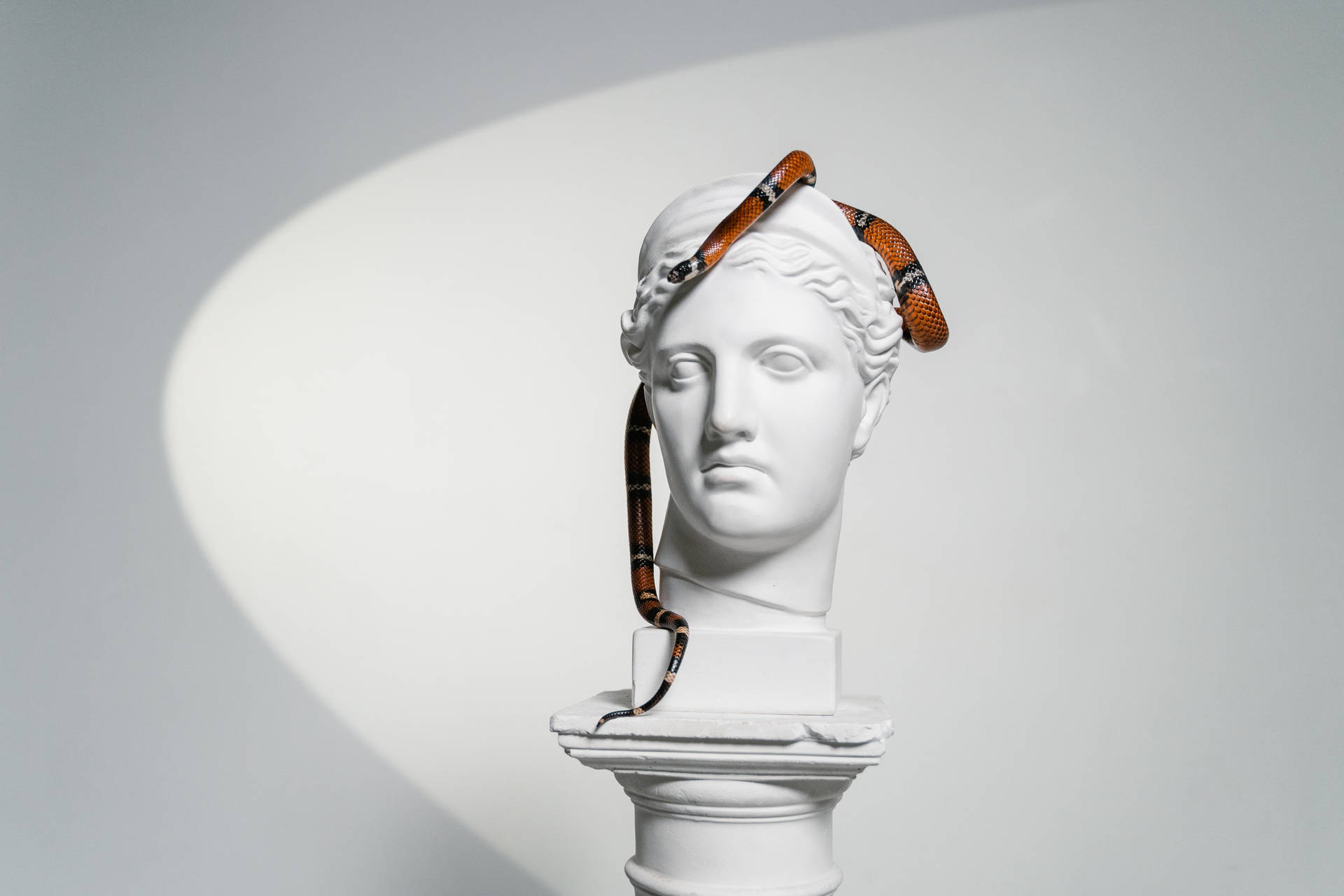 Snake On Head Sculpture