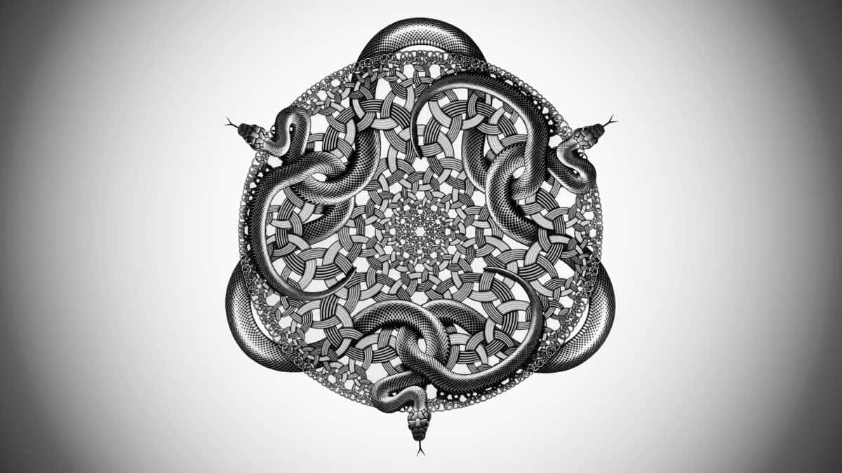 Snakes Maurits Cornelis Escher Art Background