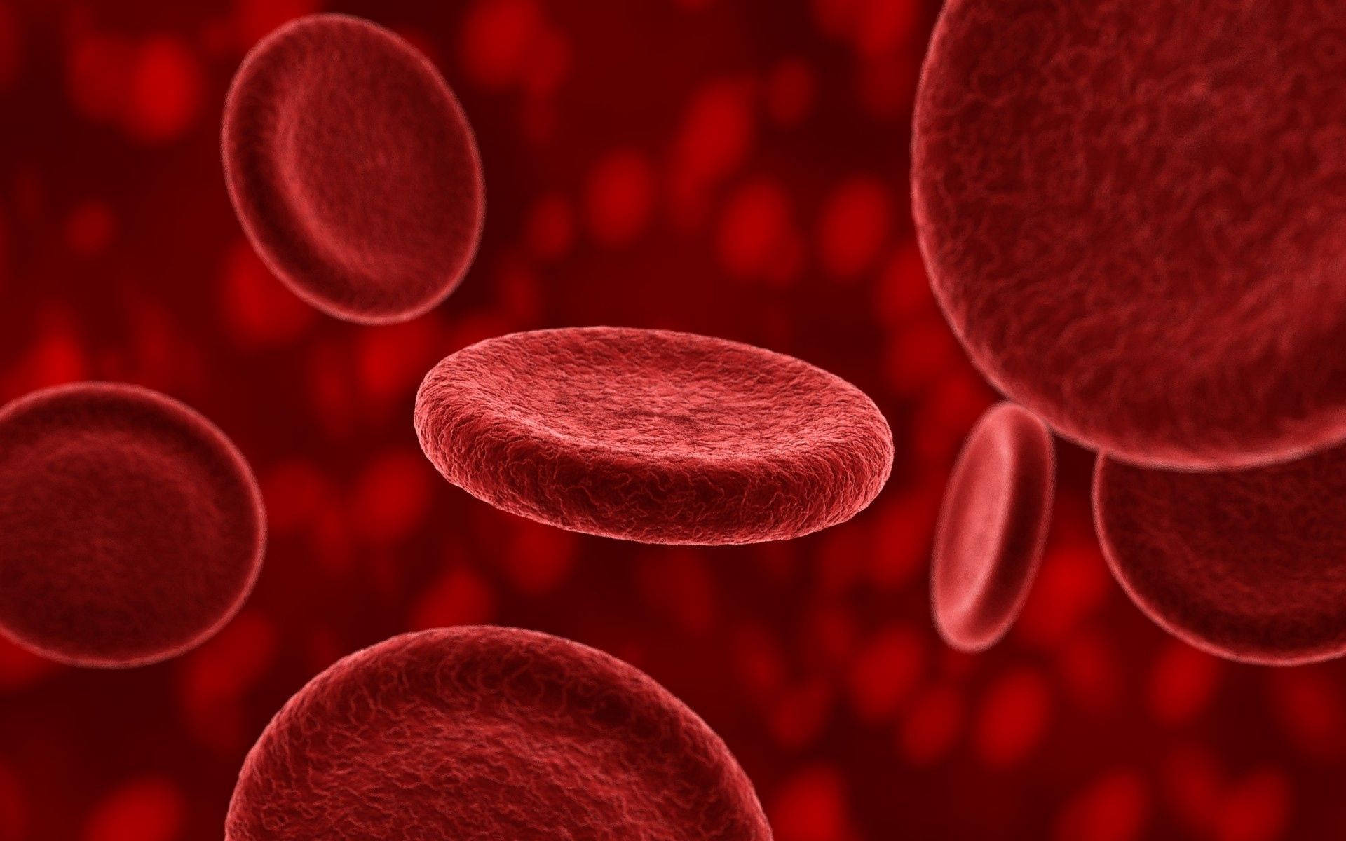 Snapshot Of Red Blood Cells In Motion Background