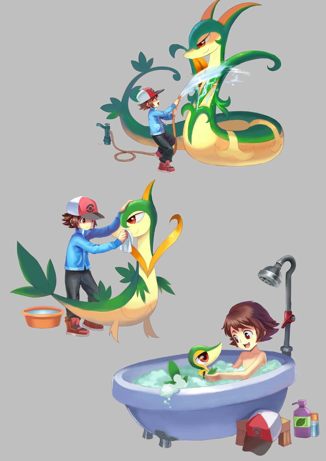 Snivy Being Bathed By Touya Background