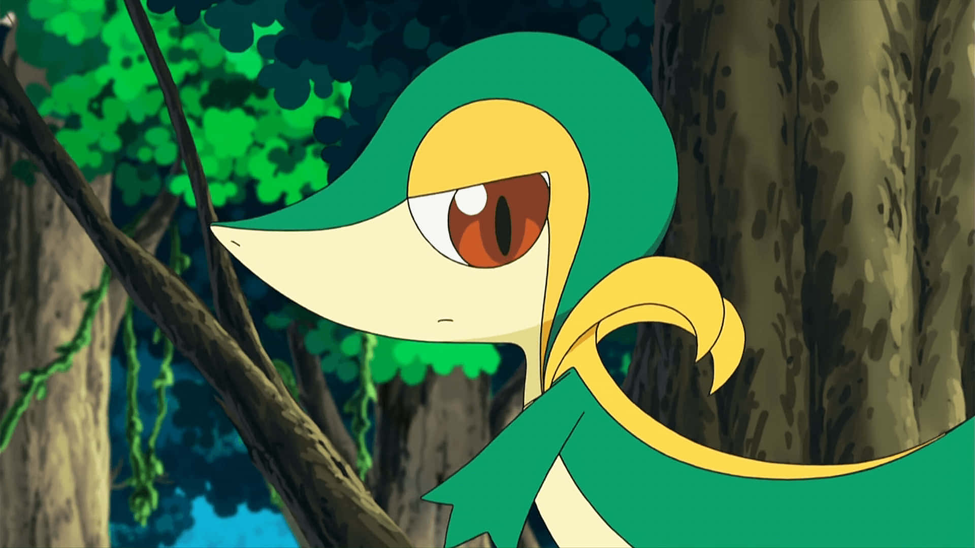 Snivy Giving The Side Eye Background
