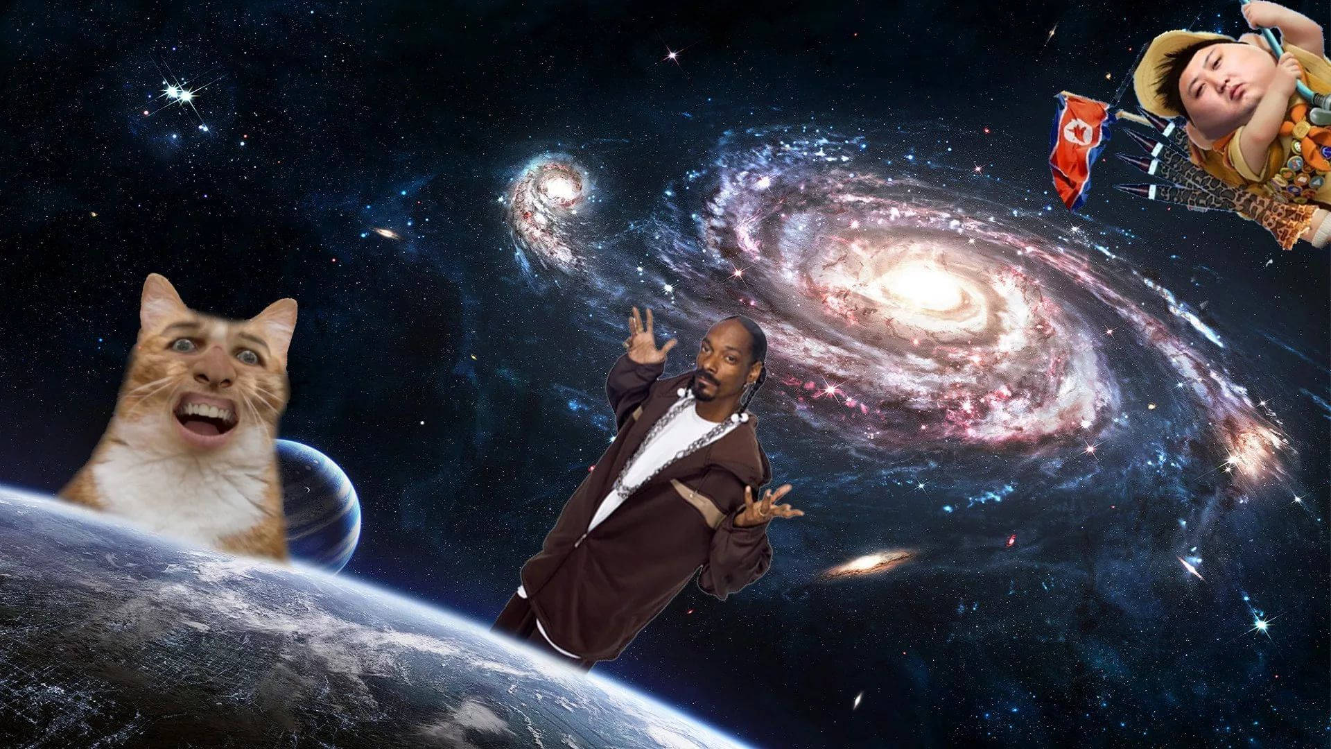 Snoop Dogg And Nicholas Cage Cat - Out Of This World! Background