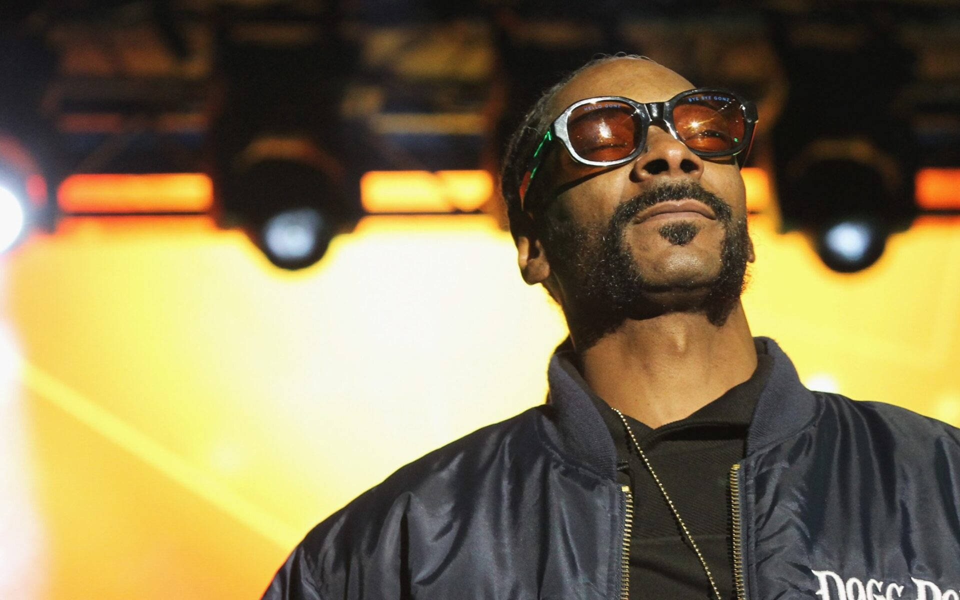 Snoop Dogg Live Performance Background