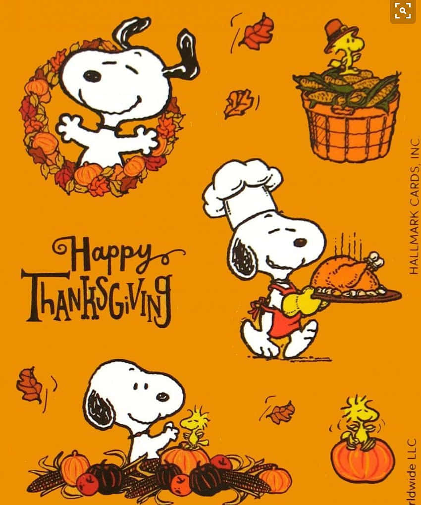 Snoopy Celebrates Thanksgiving With His Friends Background