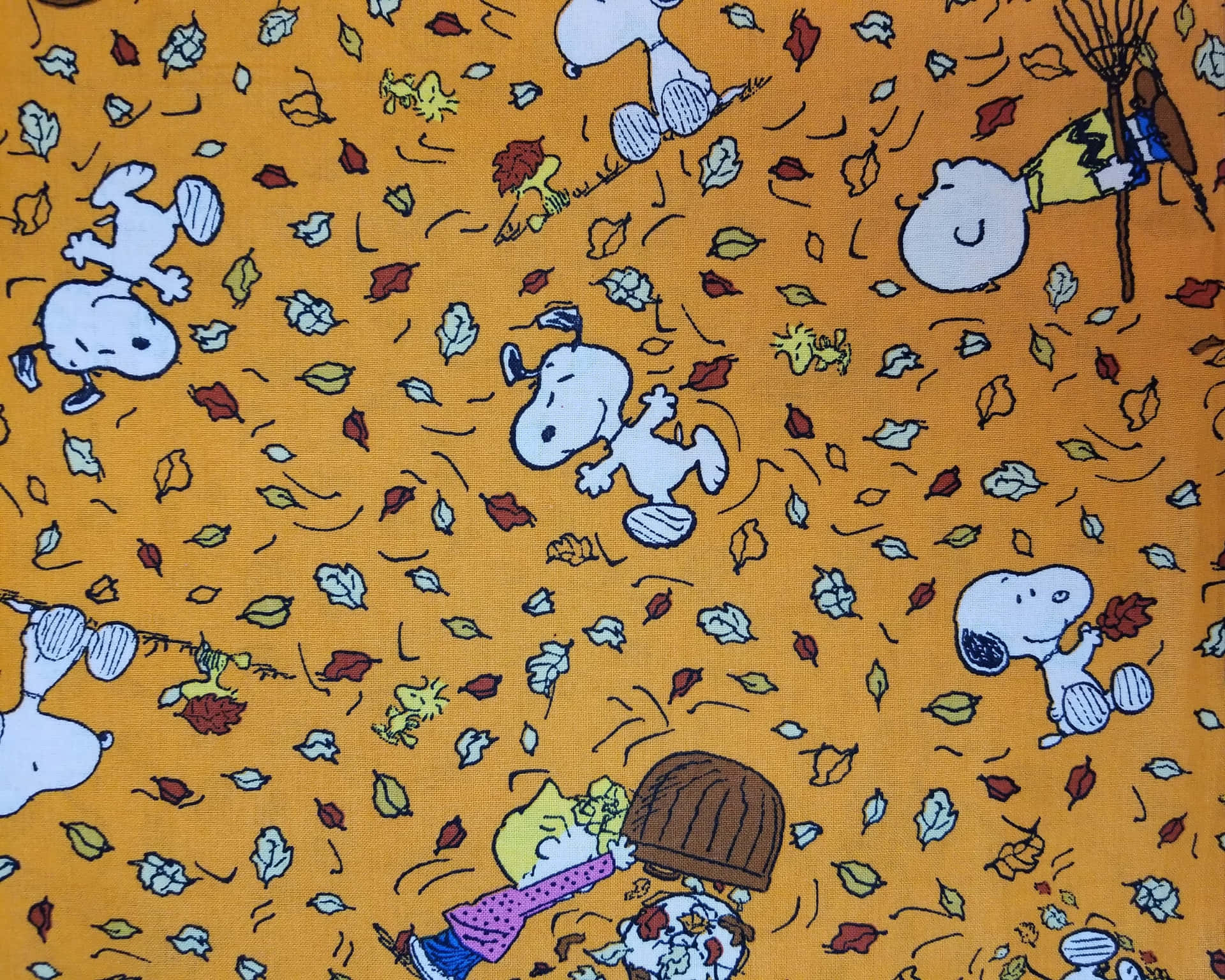 Snoopy Cozies Up To Autumn Background