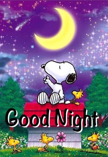 Snoopy Good Night Background