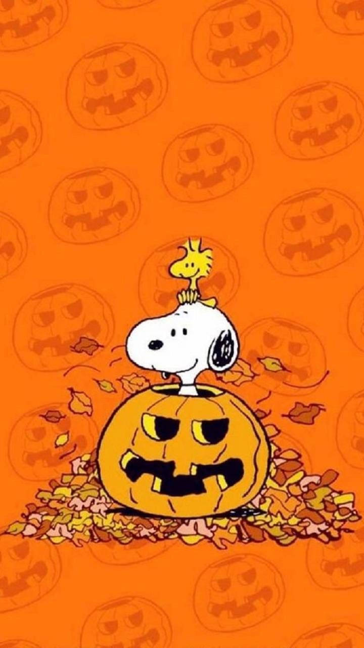 Snoopy Is Get Spooky Ready For Halloween! Background