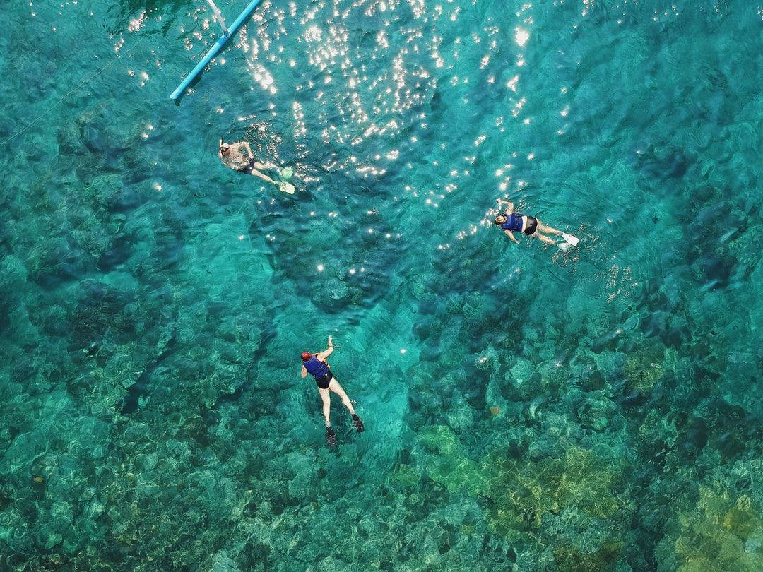 Snorkeling Aerial View Background