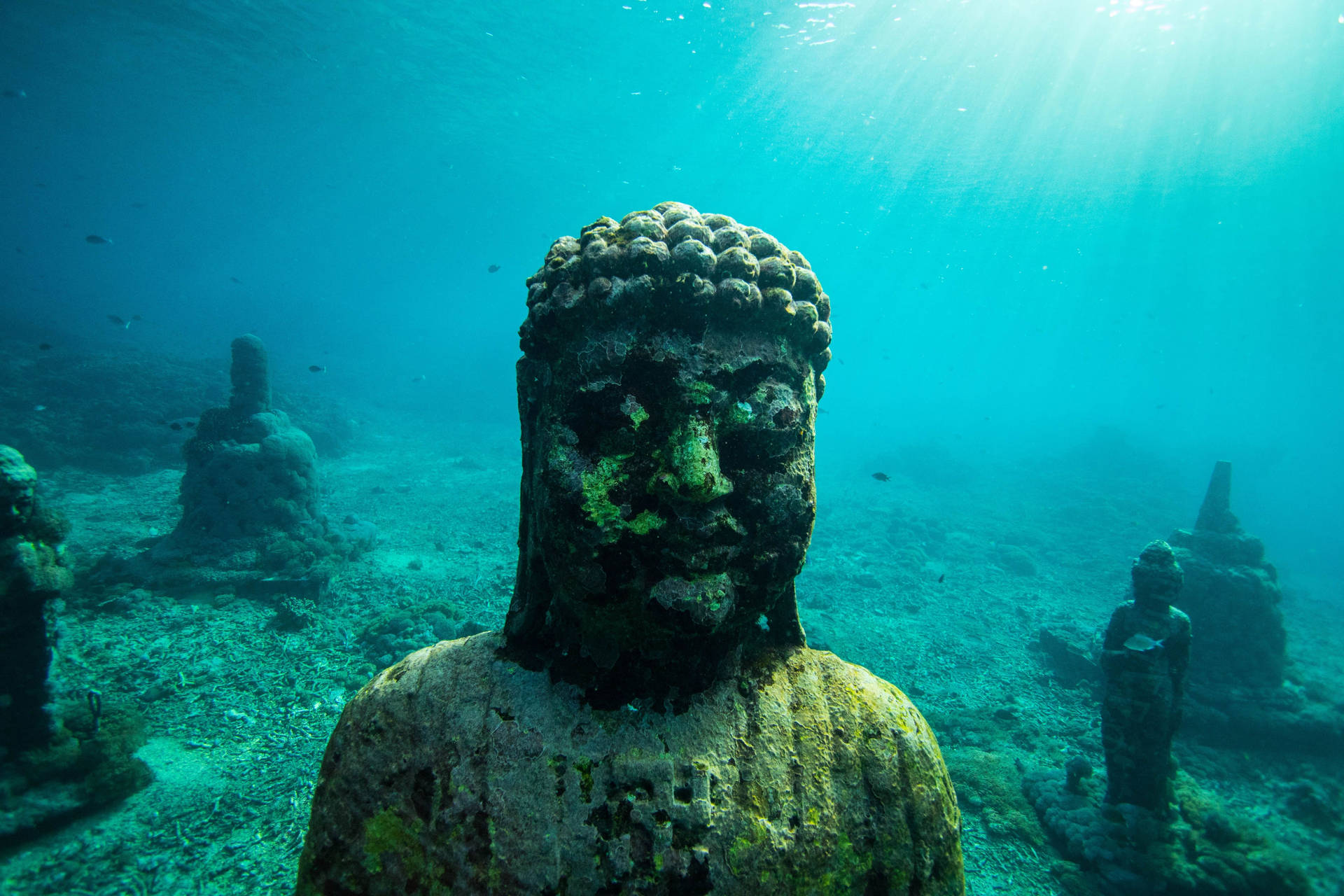 Snorkeling Buddha Statue Background