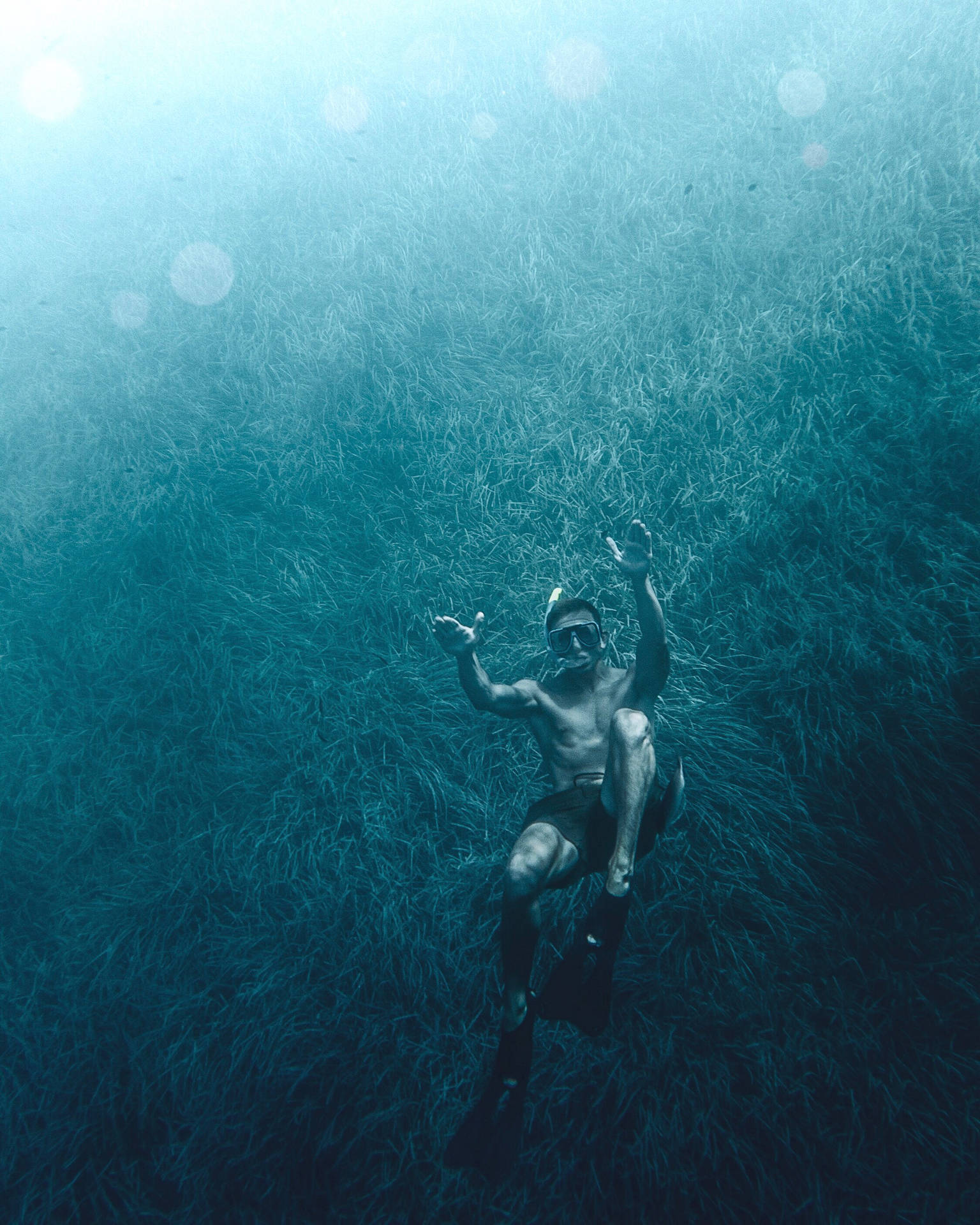 Snorkeling Deep Underwater Grass Background